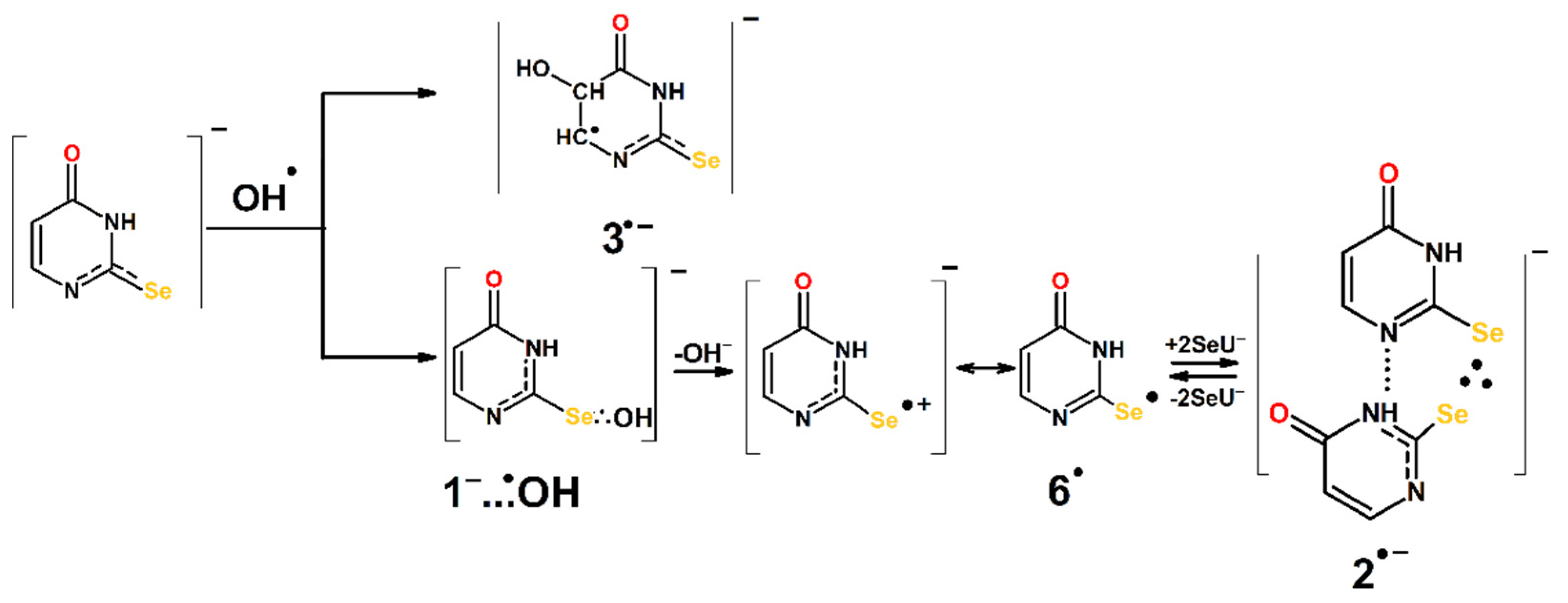 Molecules 27 00133 sch002 550