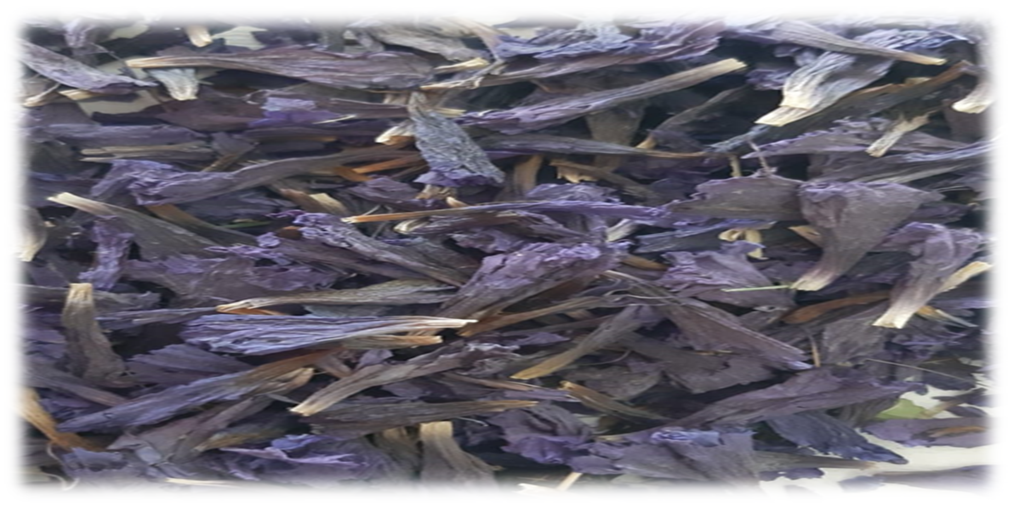 Molecules 27 00134 g007 550