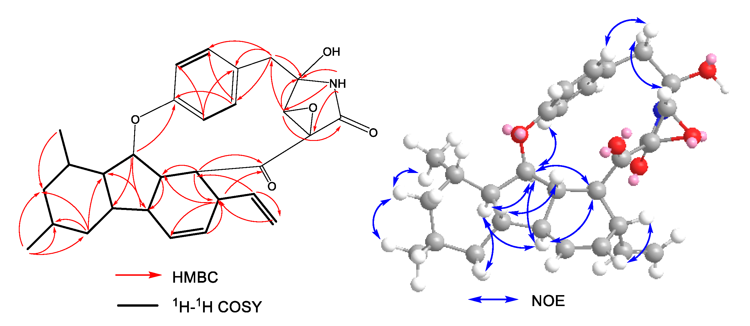 Molecules 27 00136 g002 550