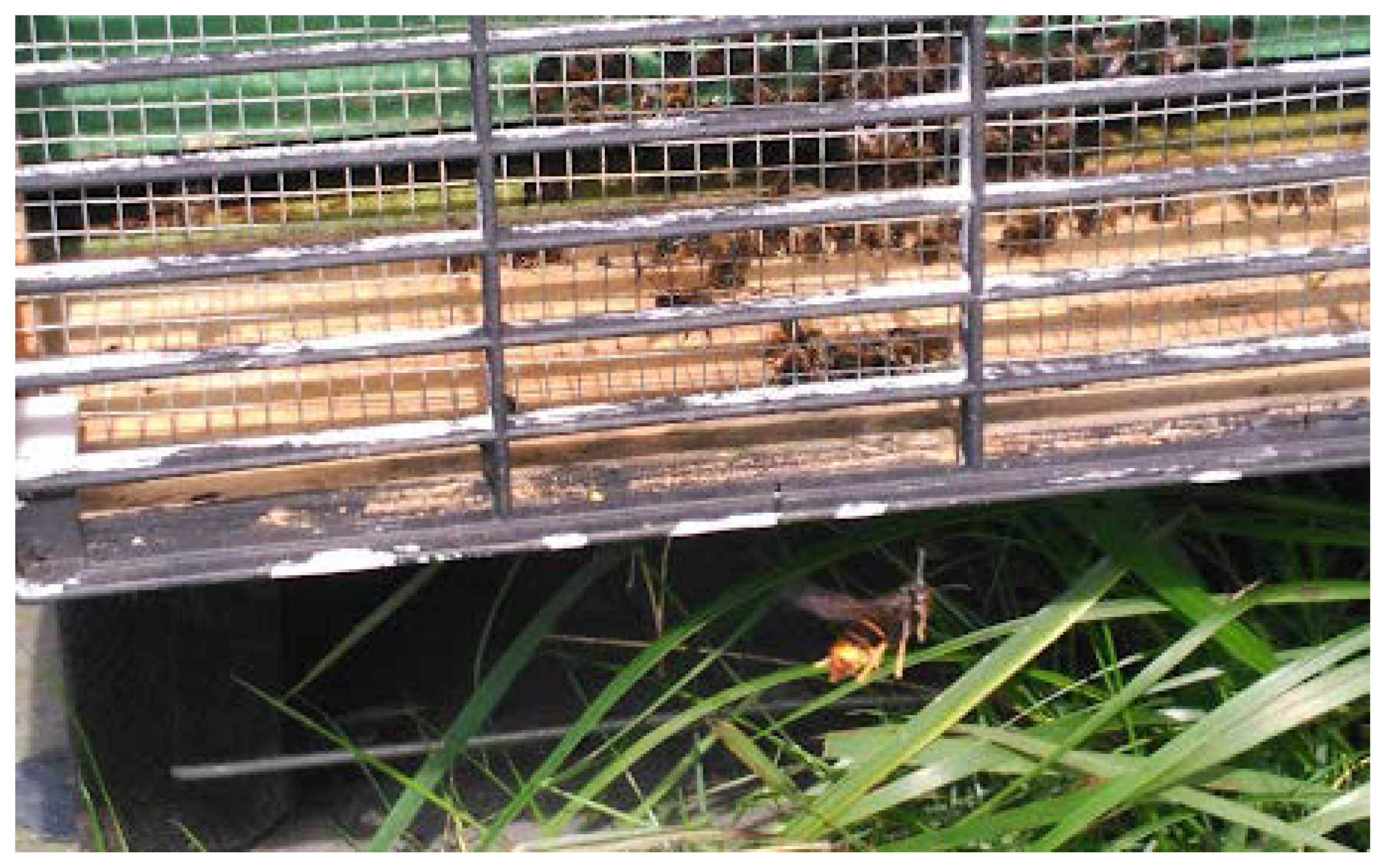 Molecules 27 00138 g001