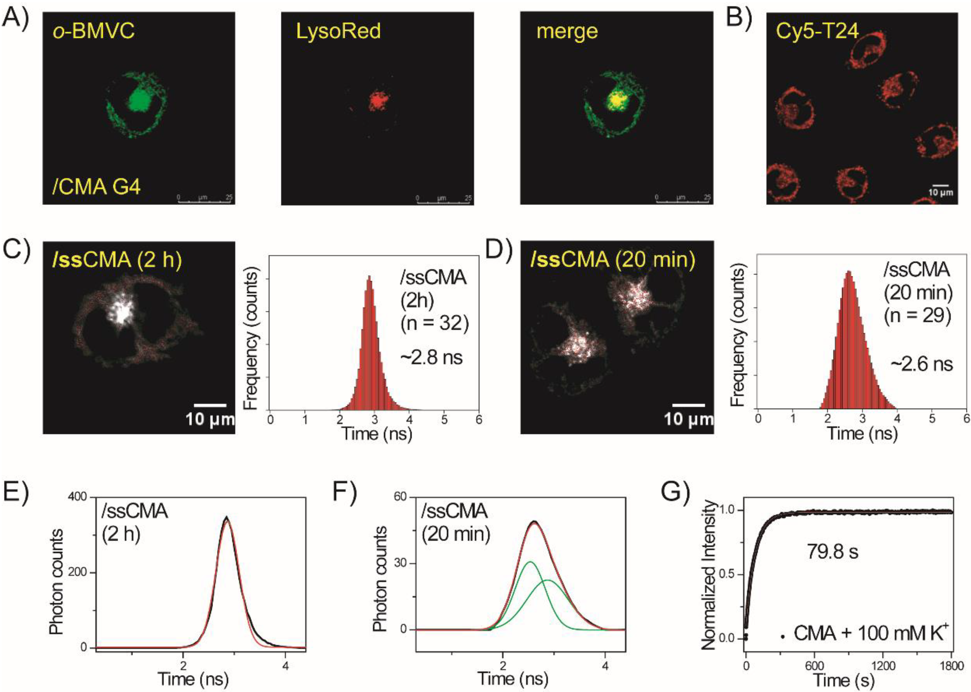 Molecules 27 00140 g004