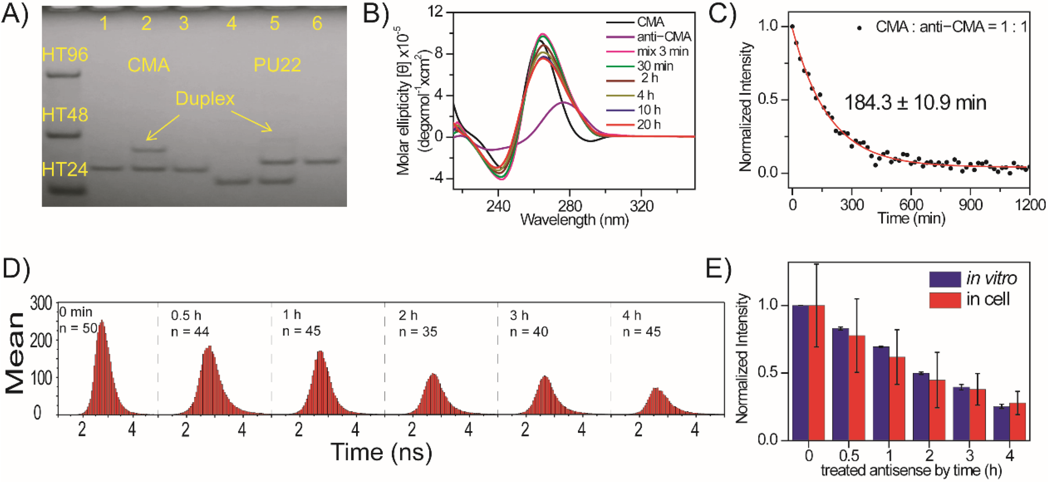 Molecules 27 00140 g005