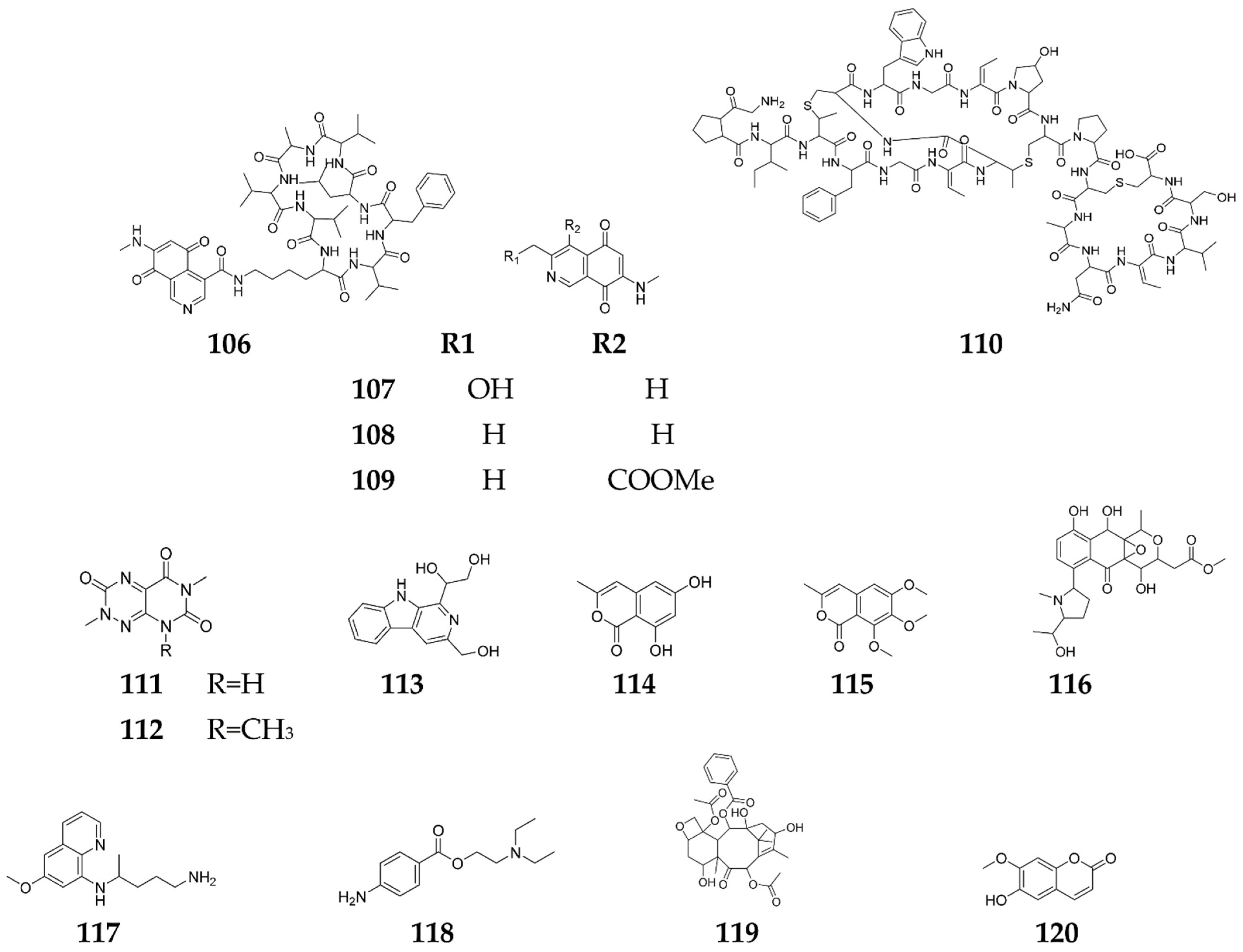 Molecules 27 00142 g009b Molecules 27 00142 g009b
