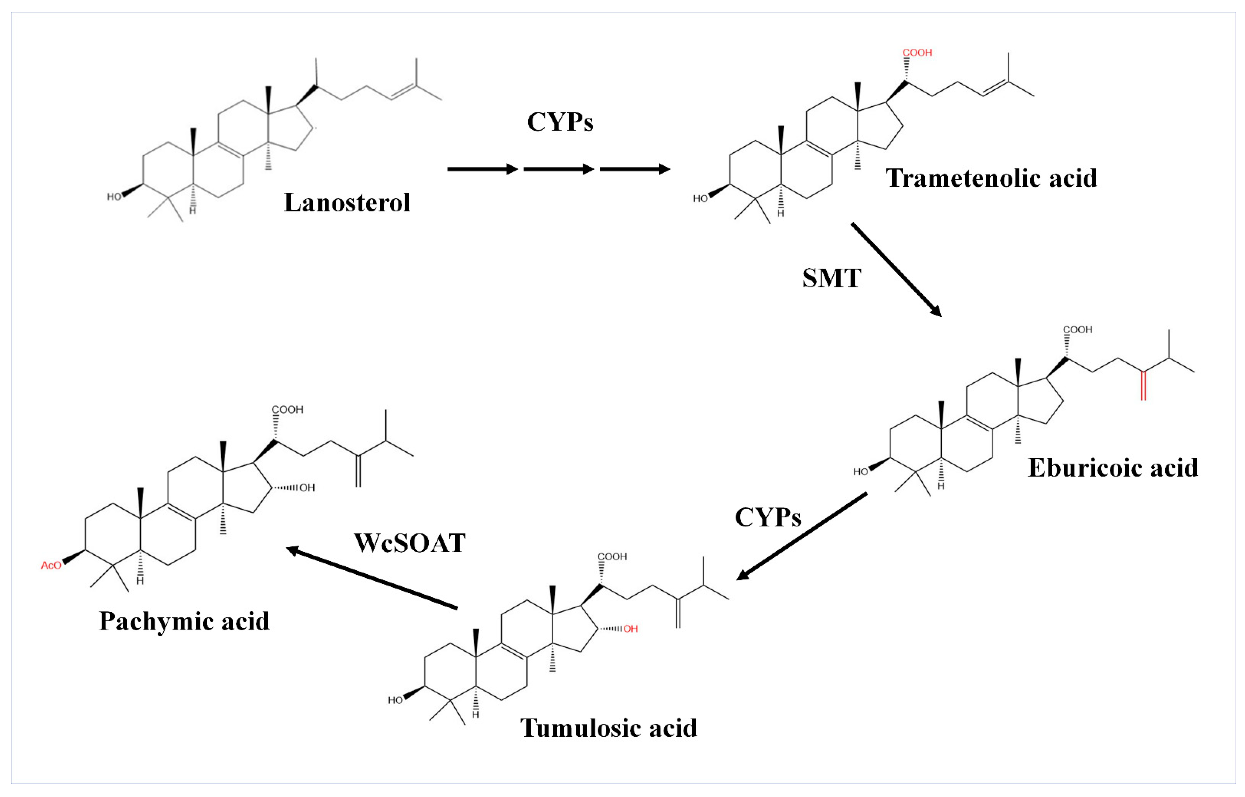 Molecules 27 00143 g001 Molecules 27 00143 g001