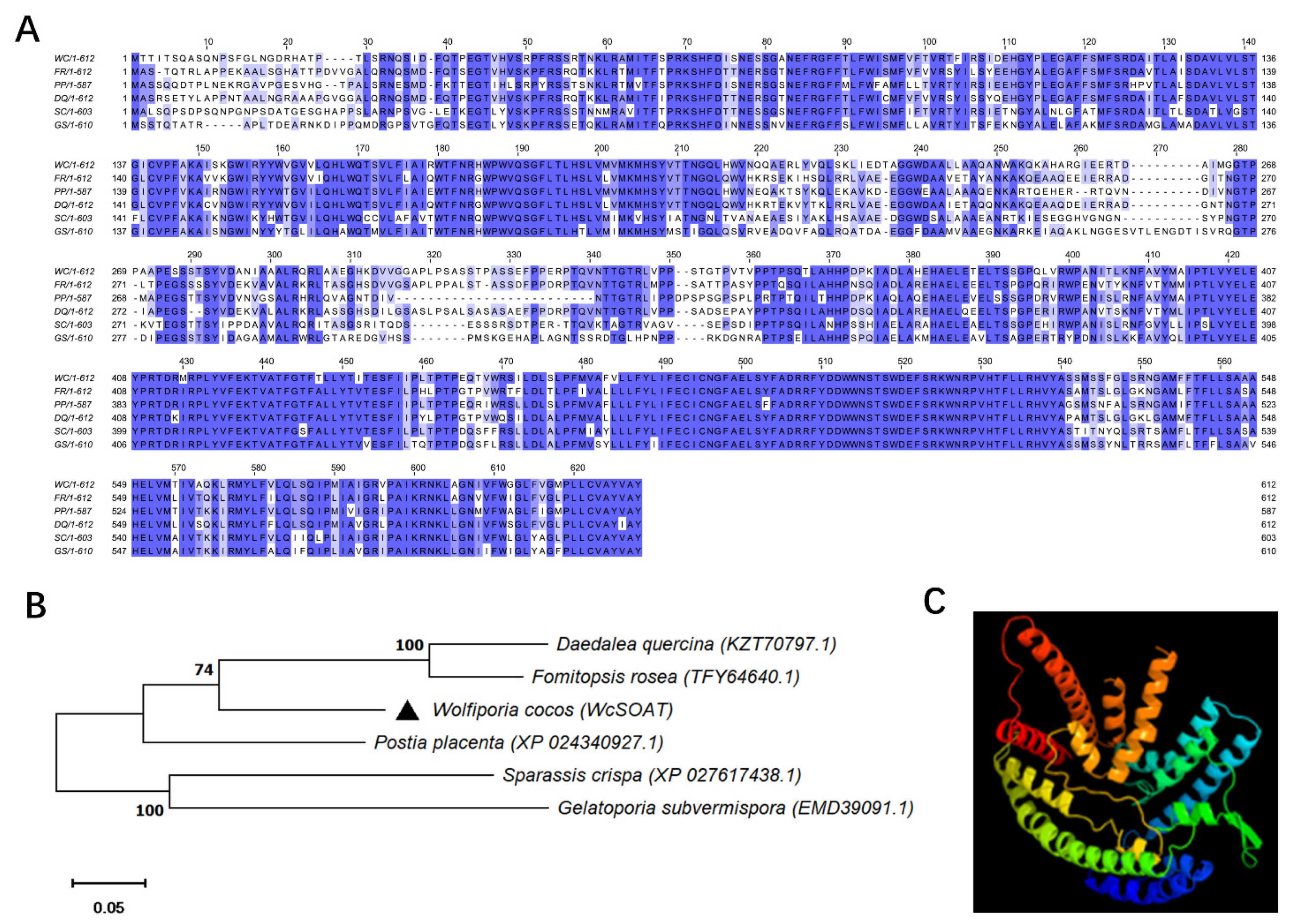 Molecules 27 00143 g002 Molecules 27 00143 g002