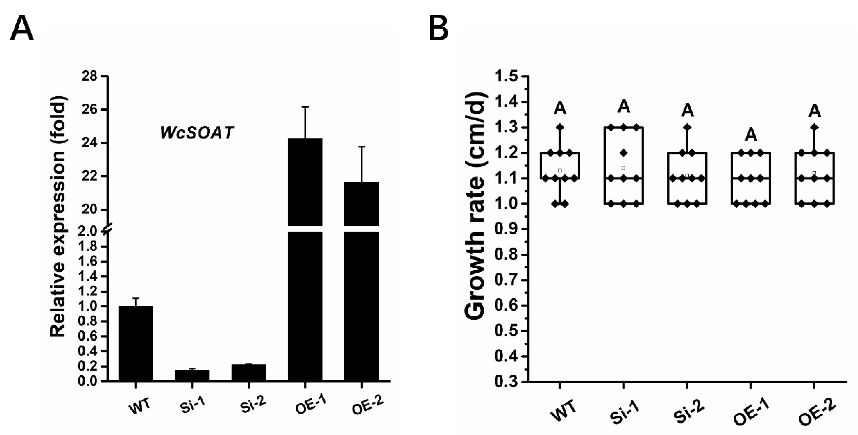 Molecules 27 00143 g004 Molecules 27 00143 g004