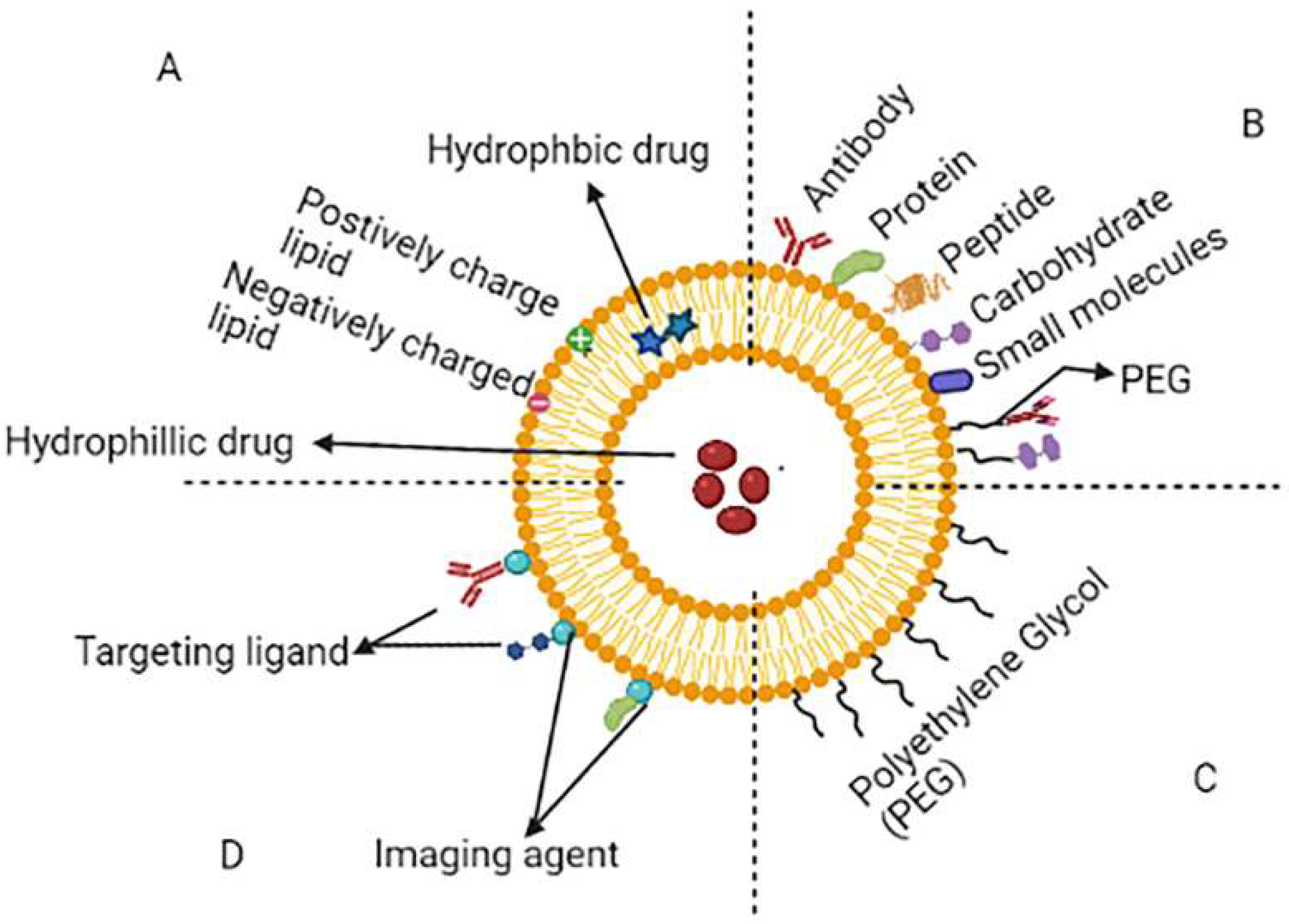 Molecules 27 00146 g002 550