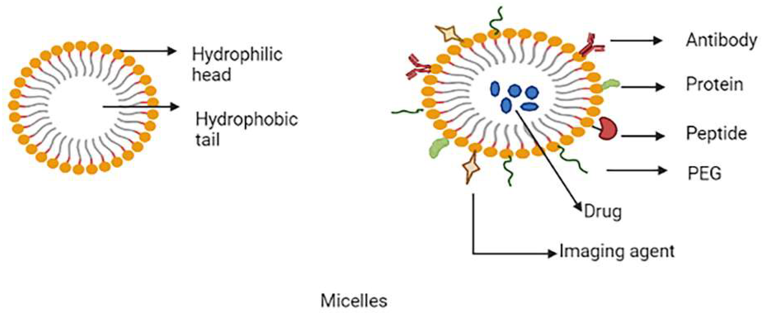 Molecules 27 00146 g004 550