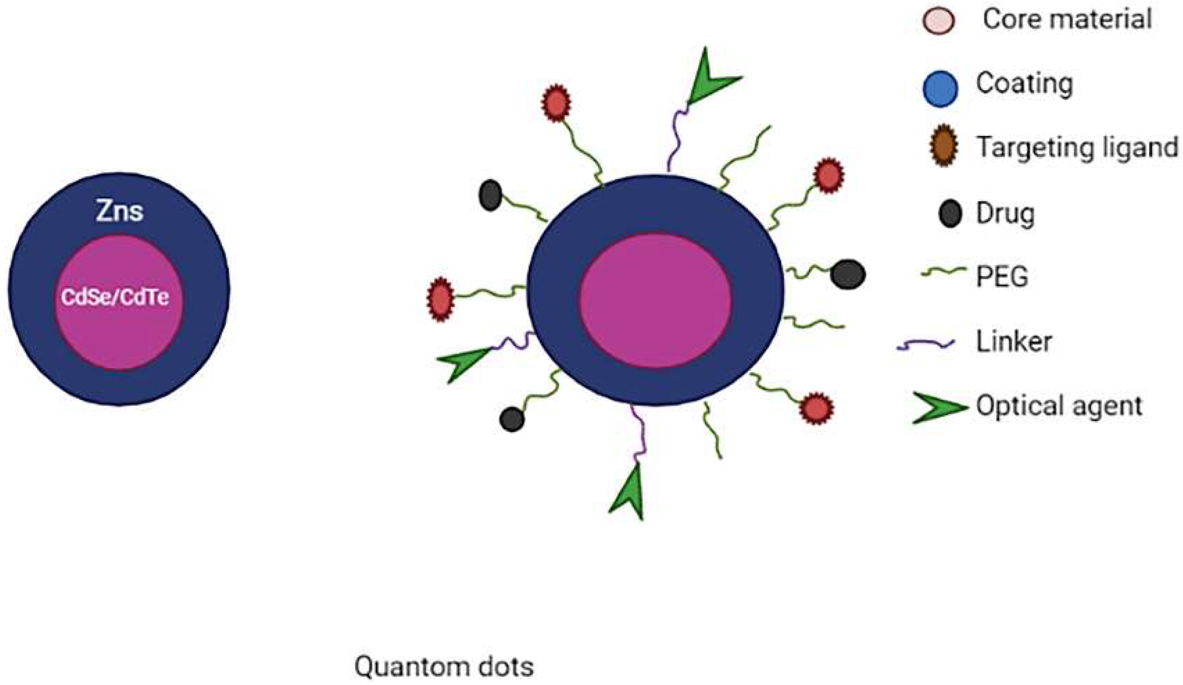 Molecules 27 00146 g009 550