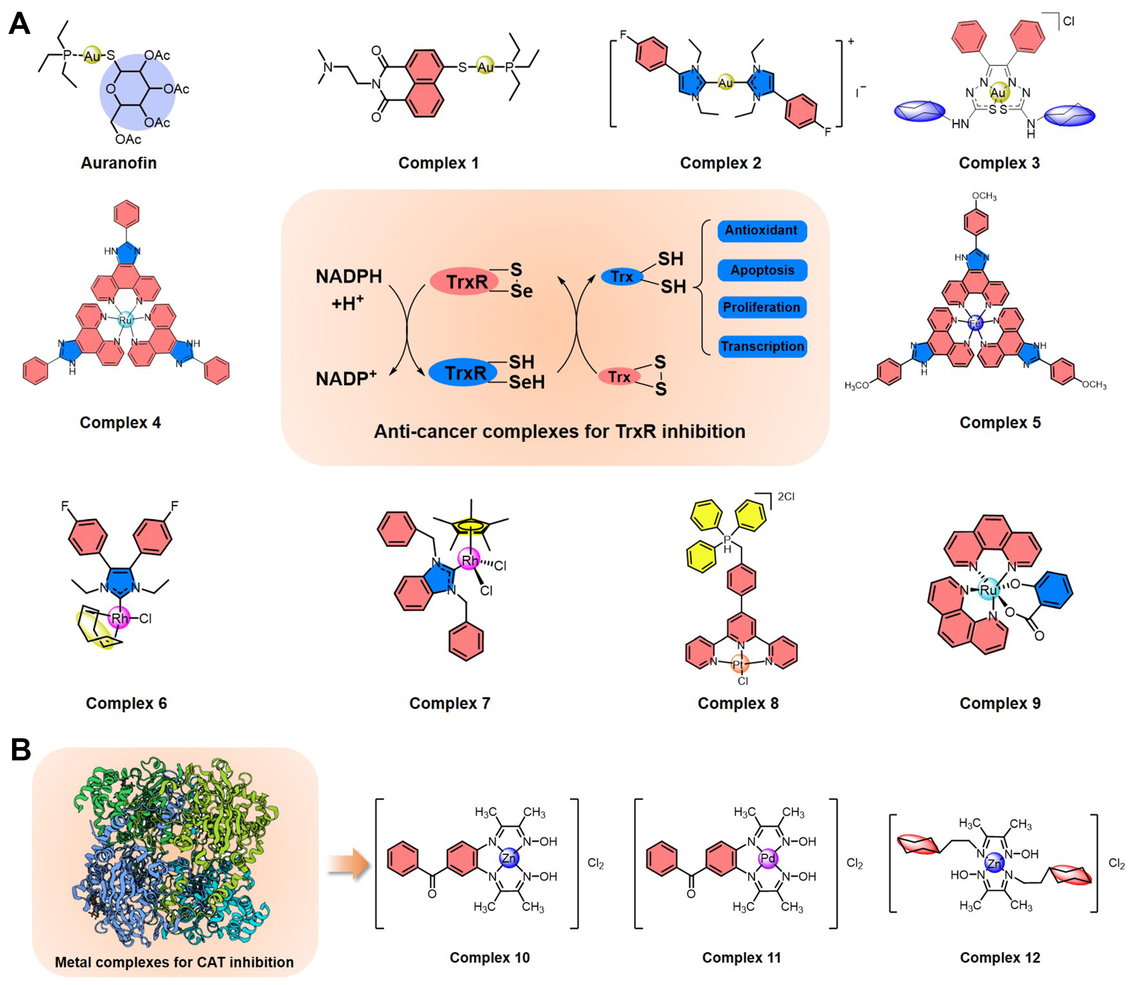Molecules 27 00148 g003