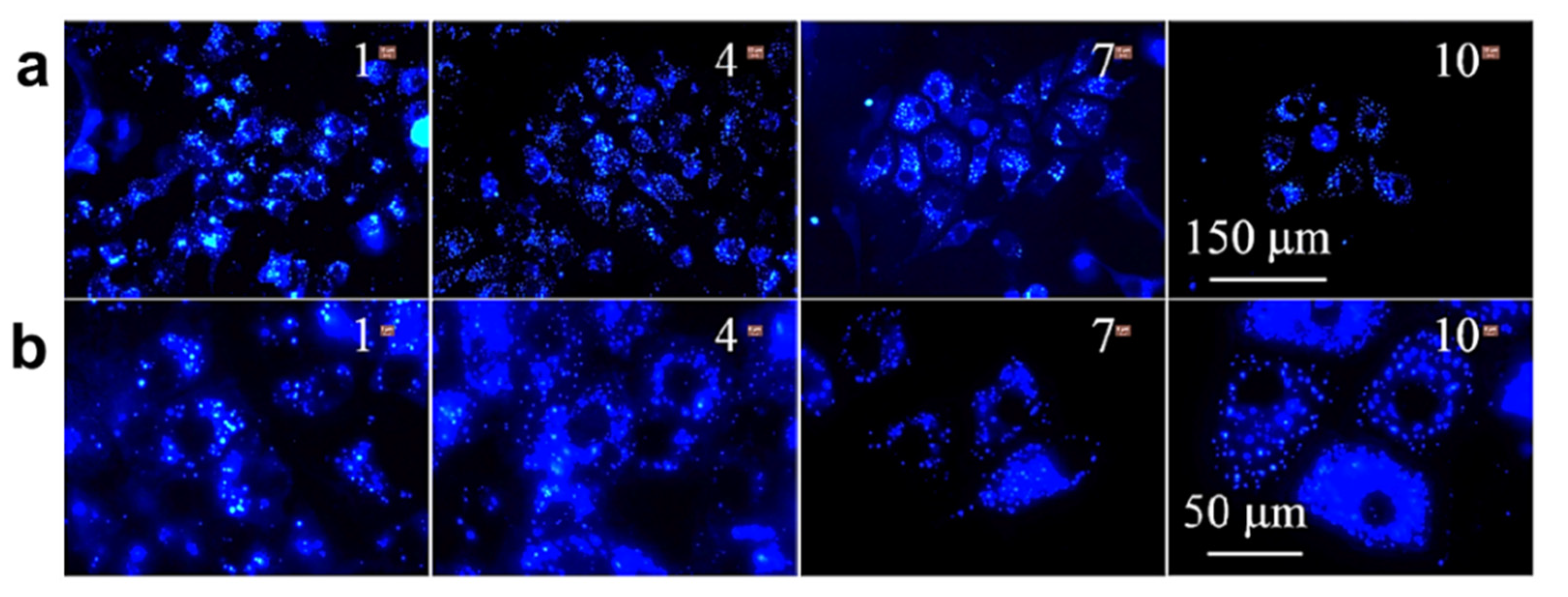 Molecules 27 00150 g012 550