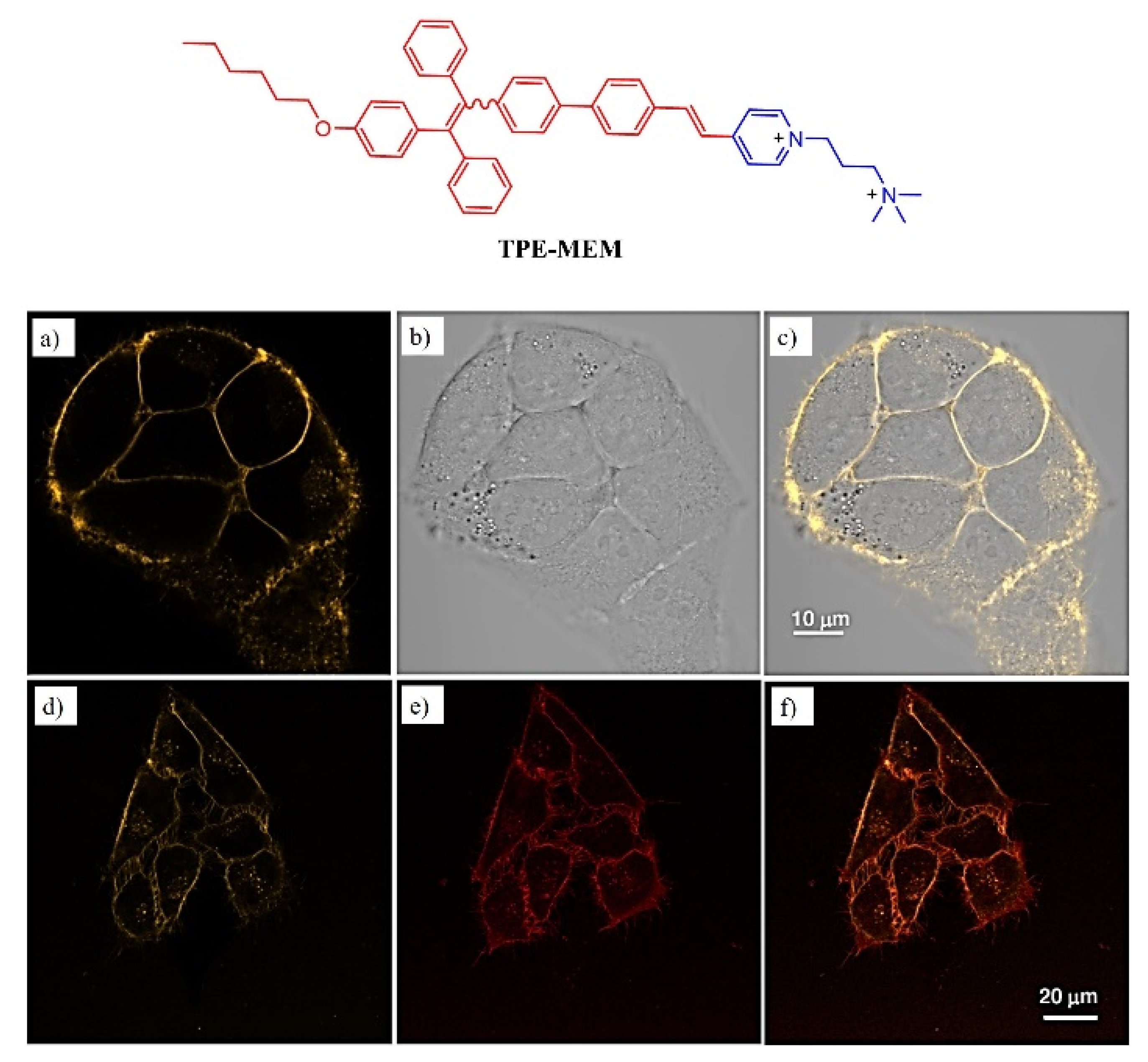 Molecules 27 00150 g017 550