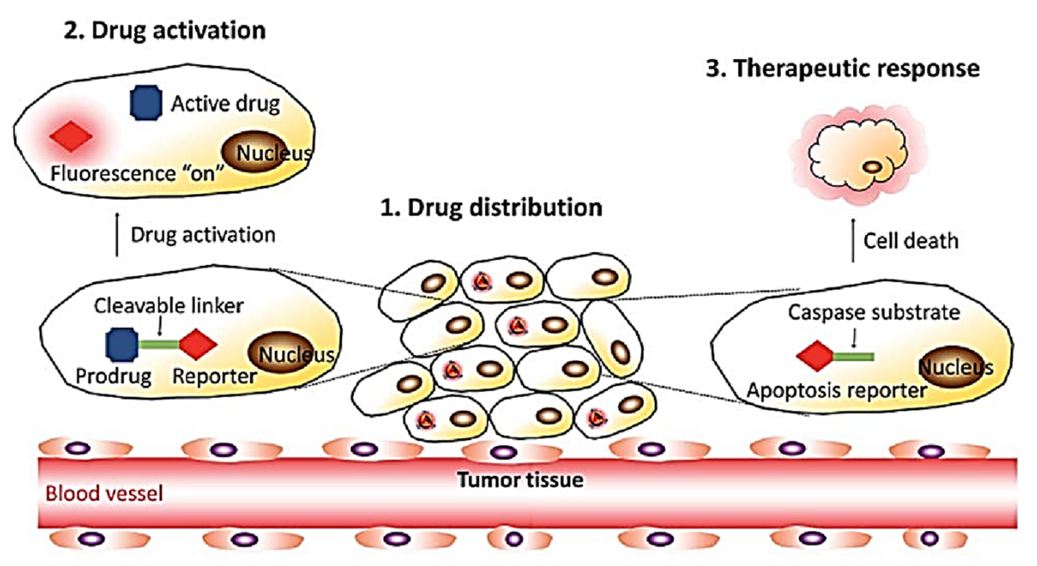 Molecules 27 00150 g023 550