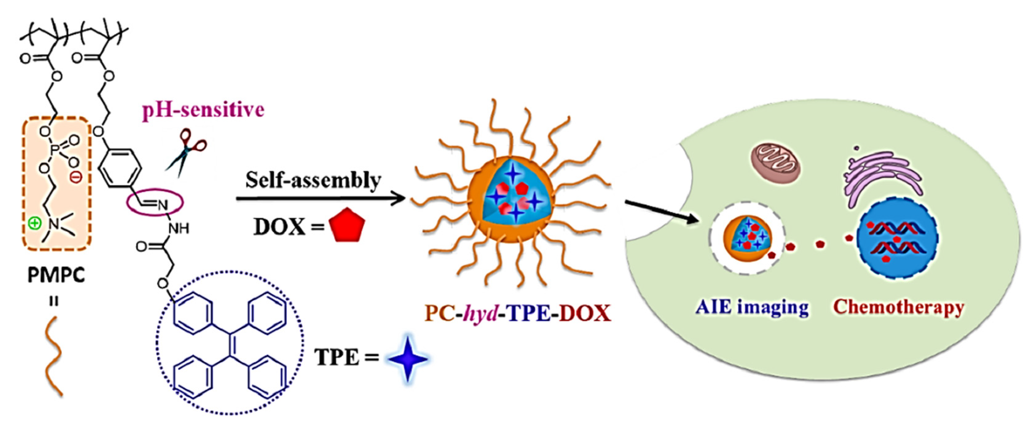 Molecules 27 00150 g024 550