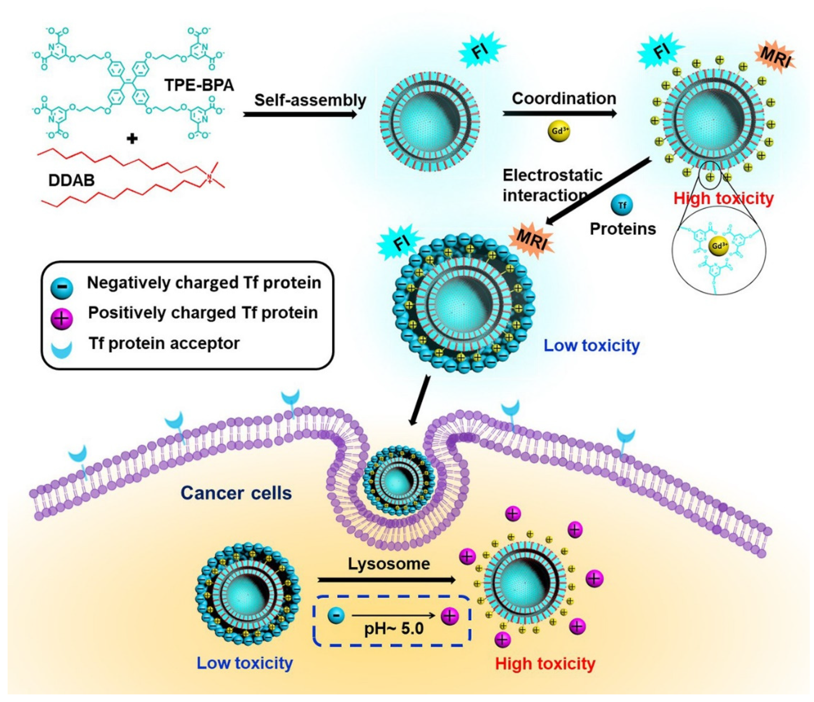 Molecules 27 00150 g030 550