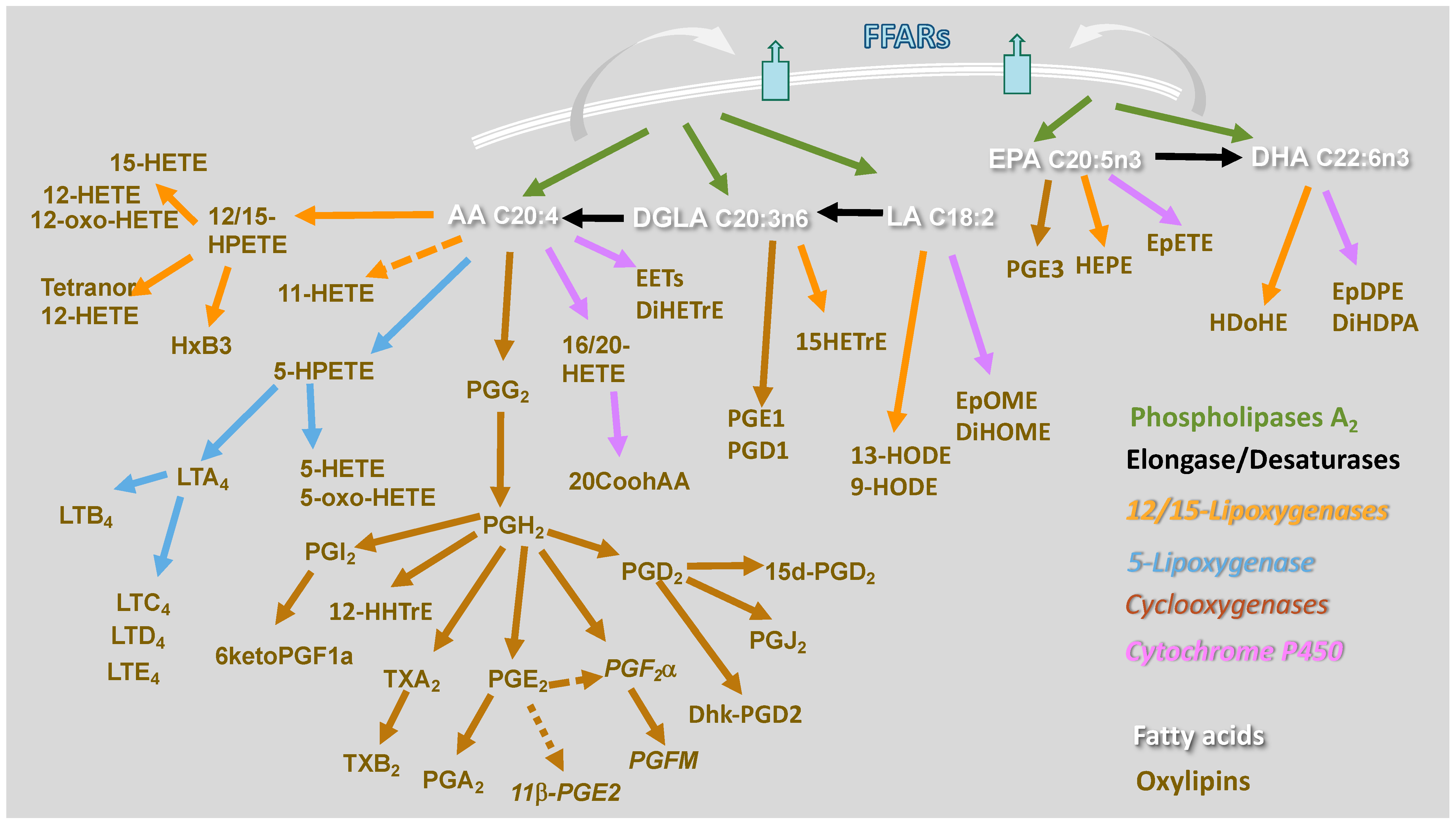 Molecules 27 00152 g001 550