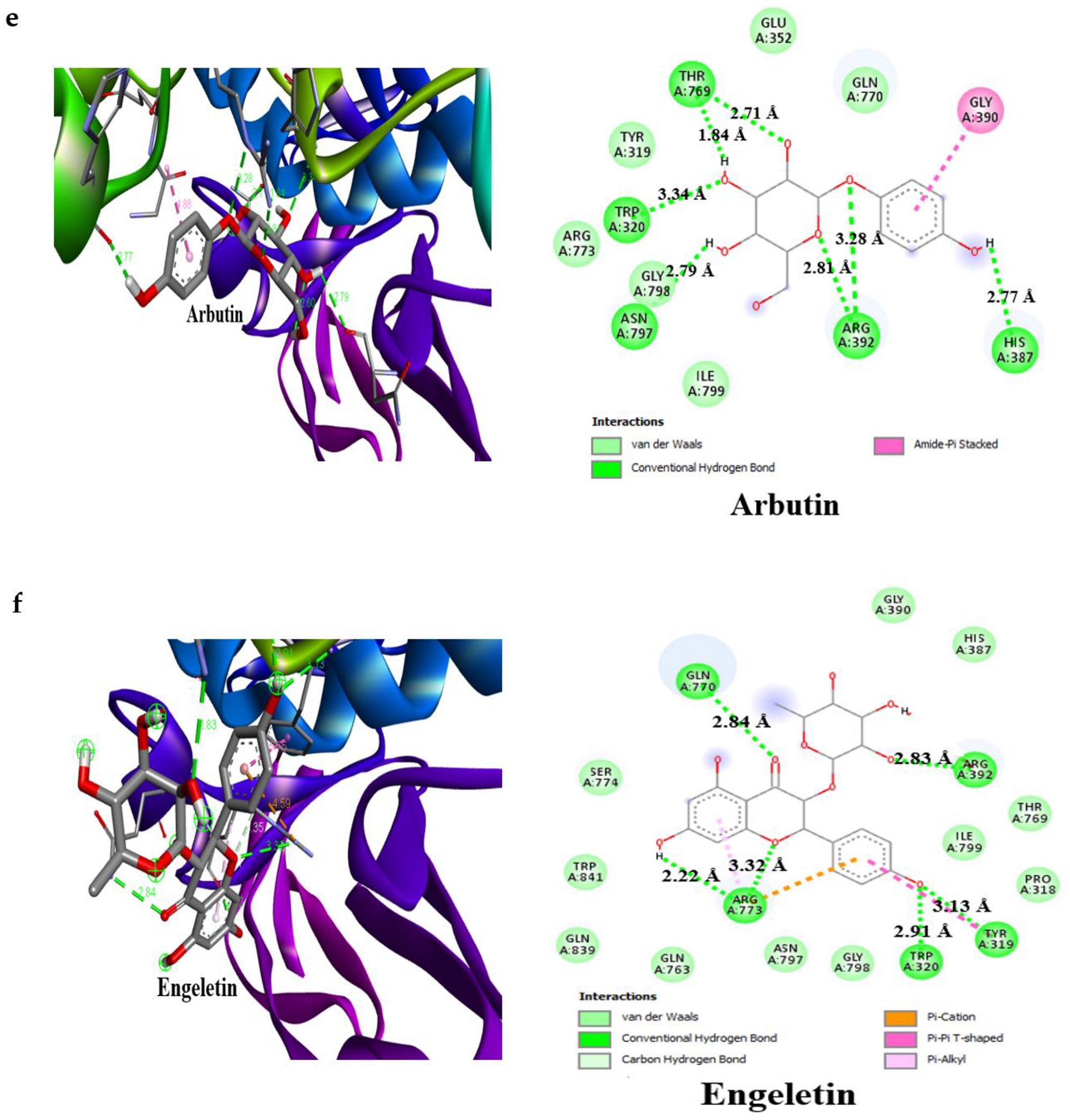 Molecules 27 00155 g006c 550