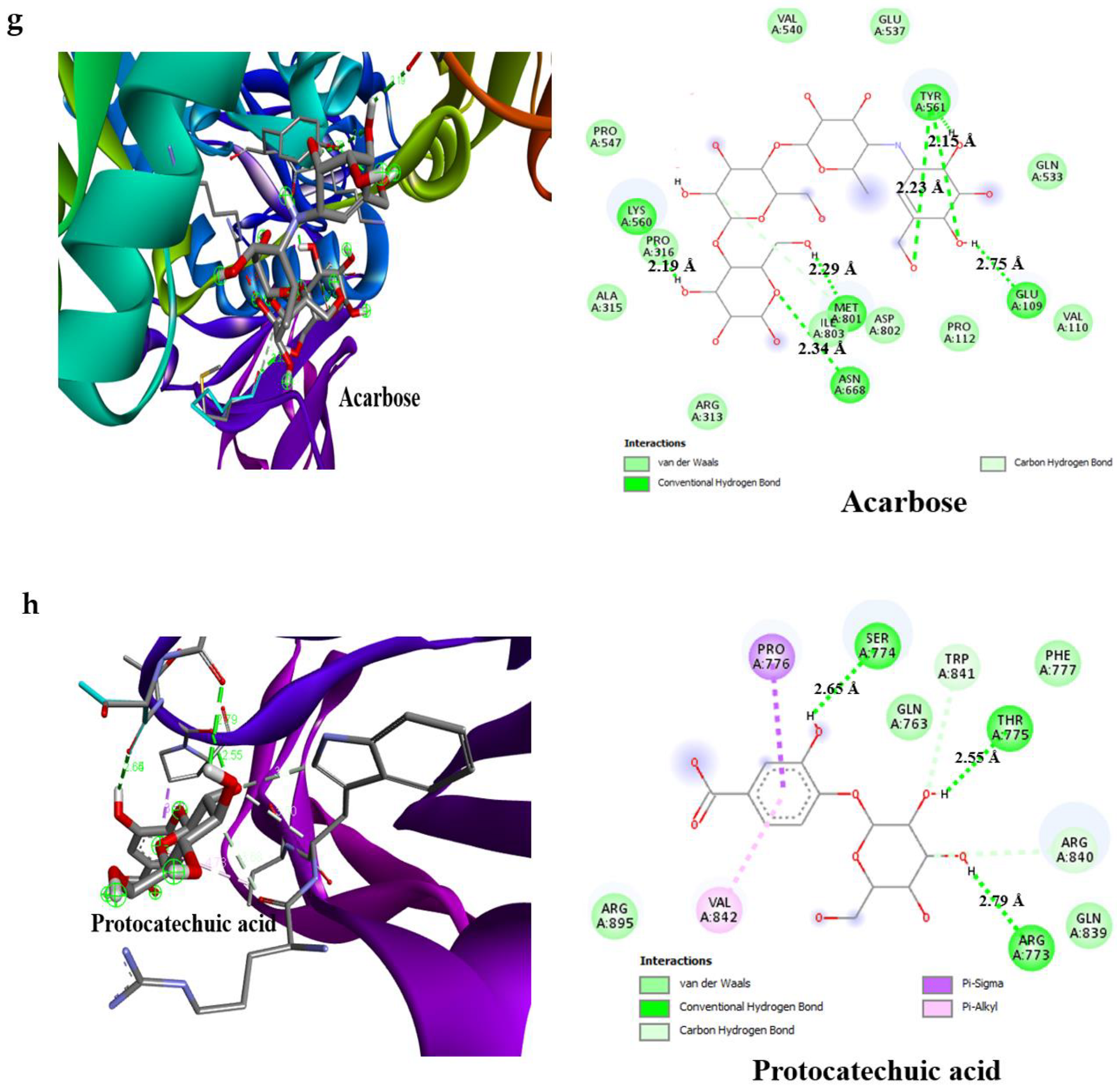 Molecules 27 00155 g006d 550