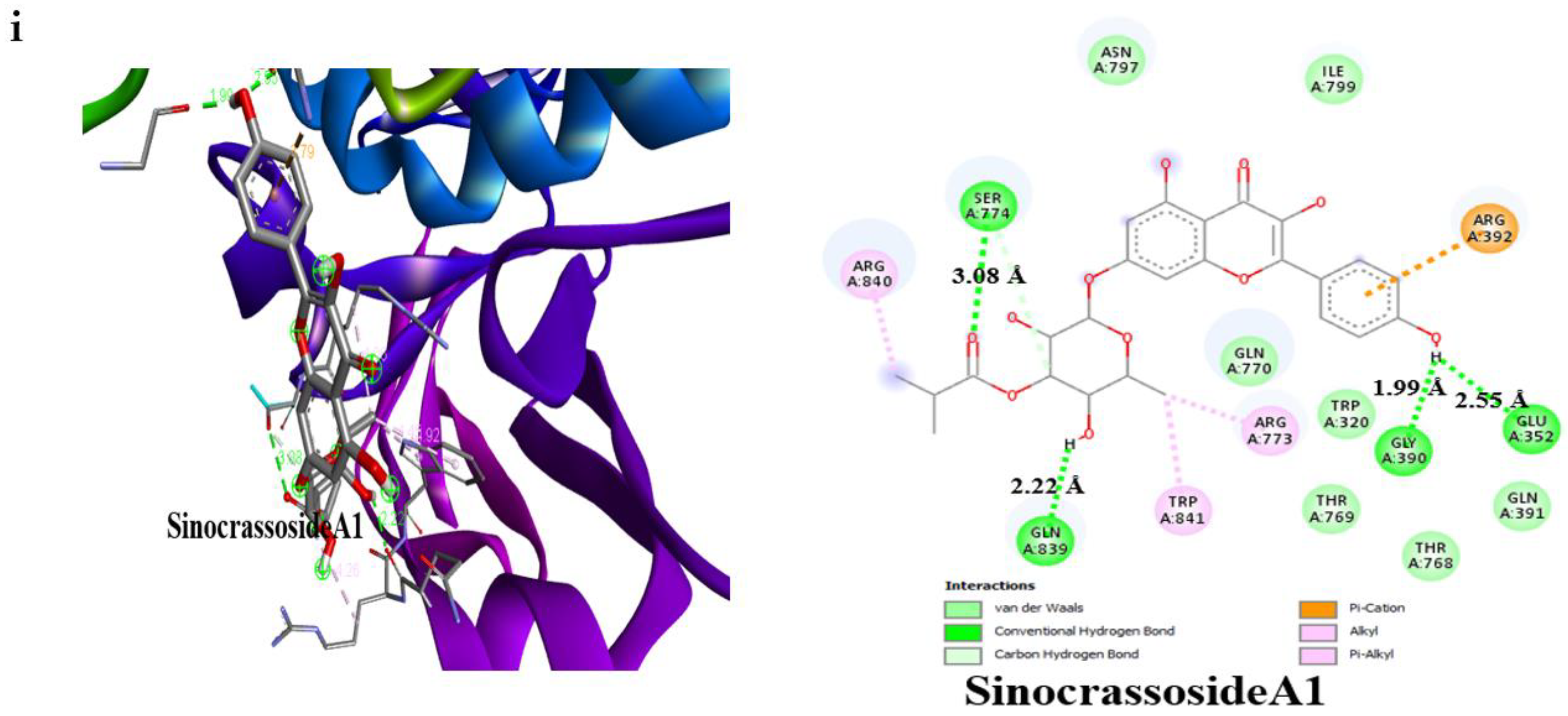 Molecules 27 00155 g006e 550