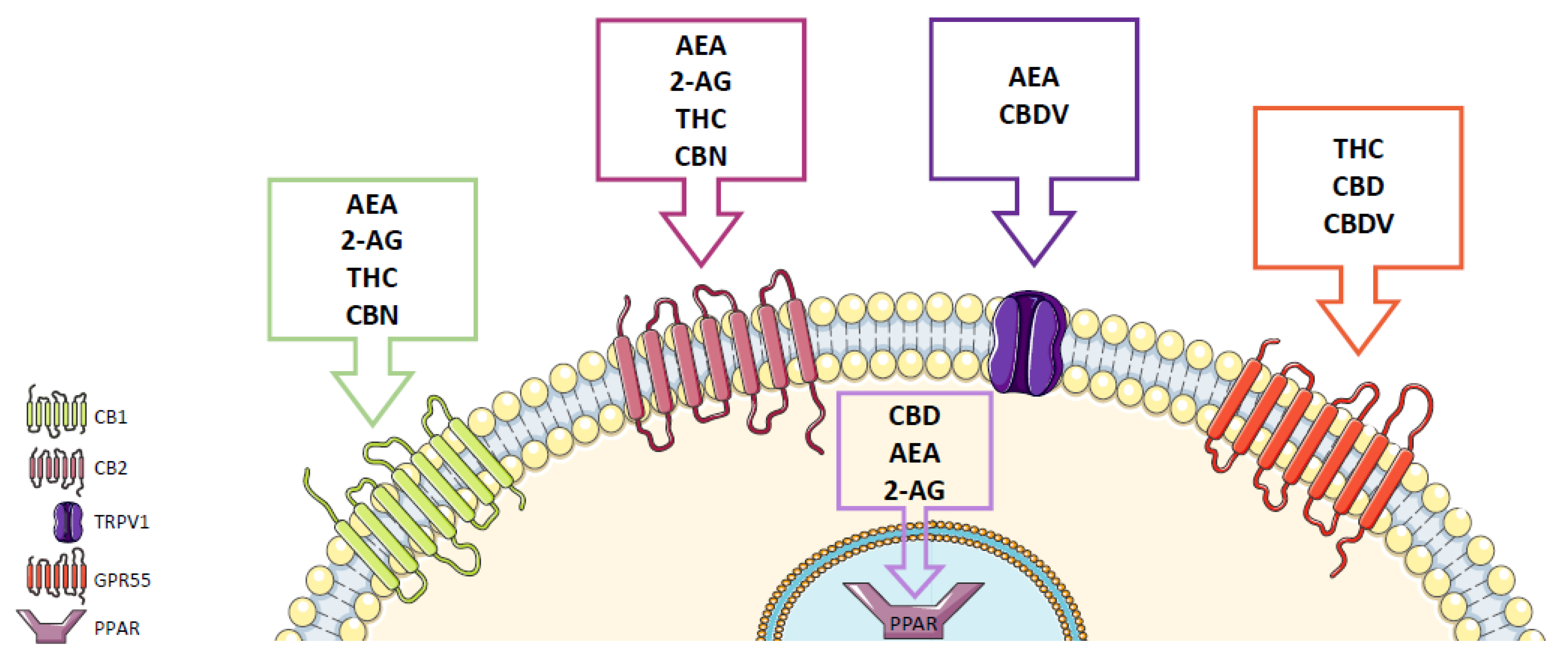 Molecules 27 00156 g002 Molecules 27 00156 g002