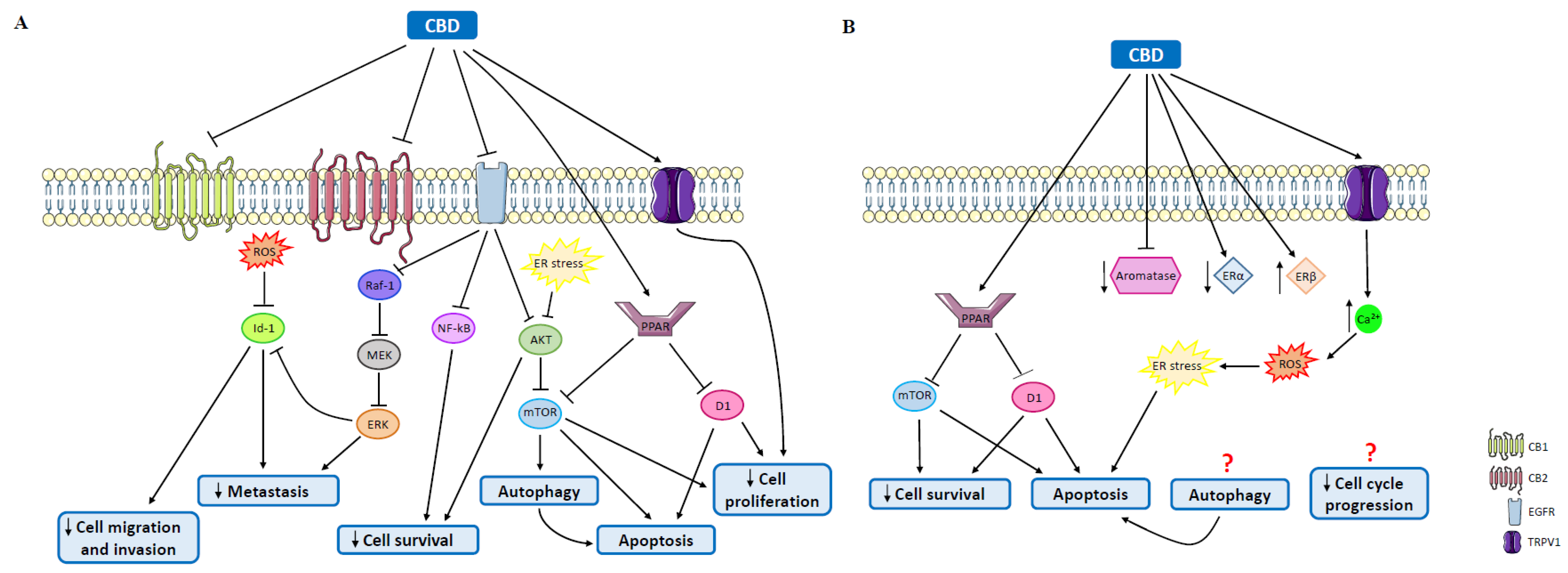 Molecules 27 00156 g003 Molecules 27 00156 g003
