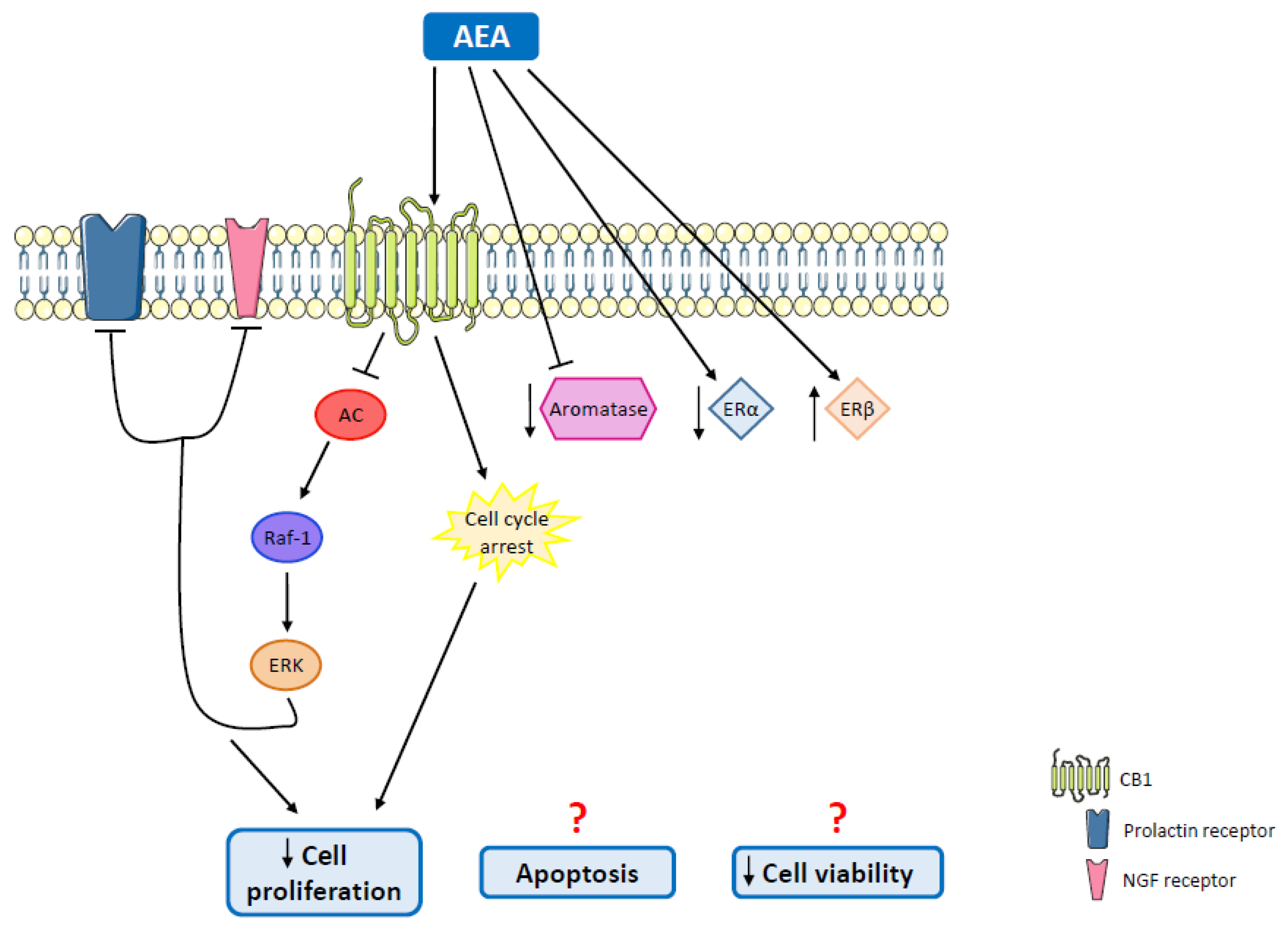 Molecules 27 00156 g005 Molecules 27 00156 g005