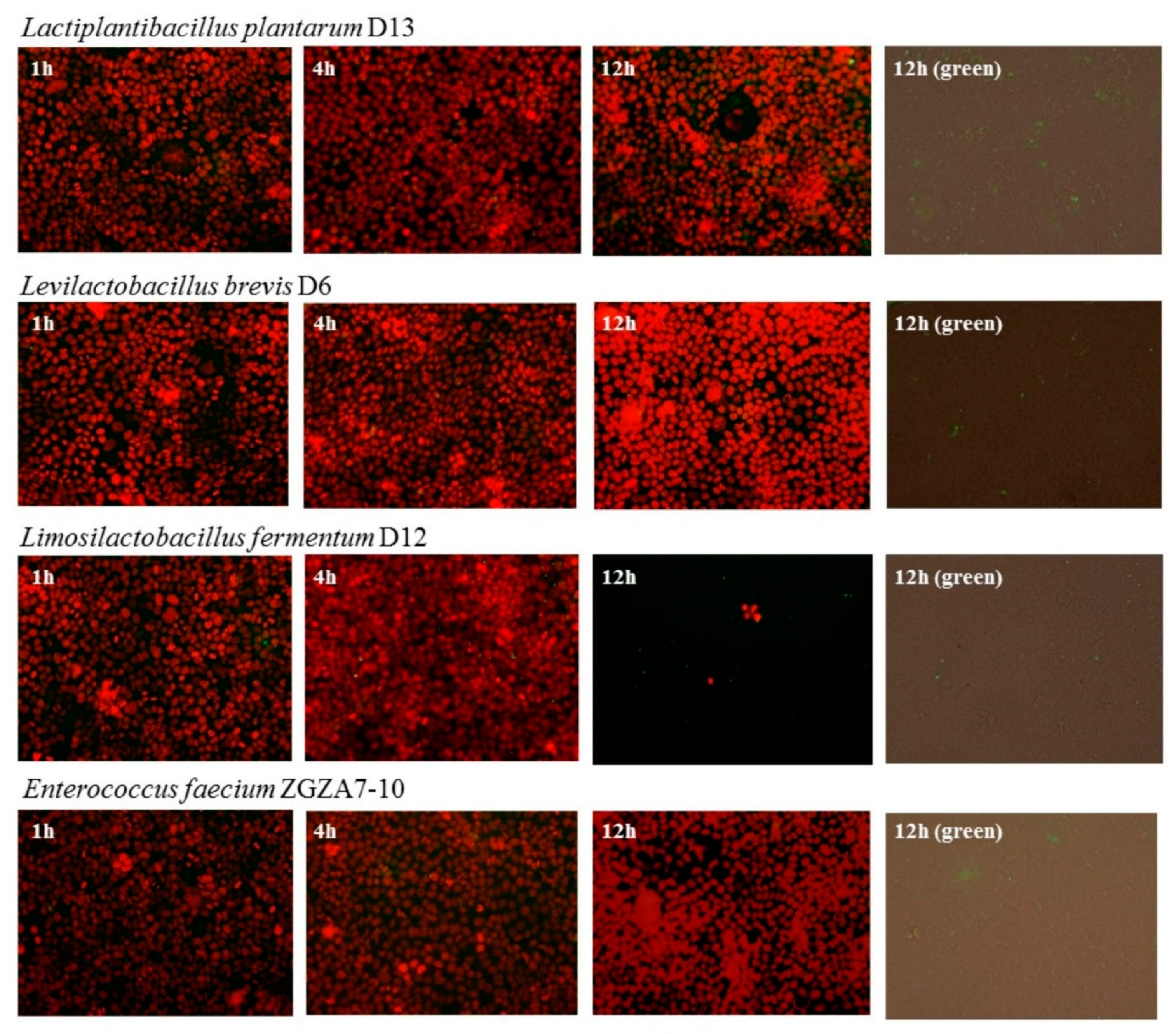 Molecules 27 00160 g002 550