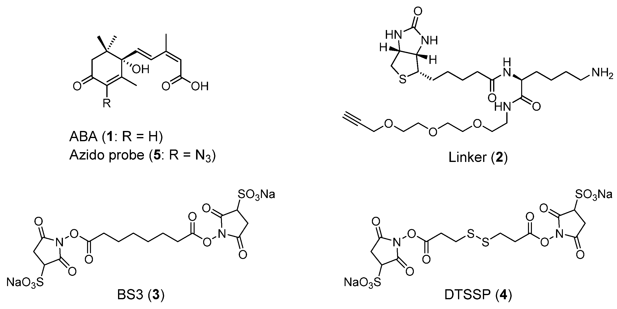 Molecules 27 00161 g001 550