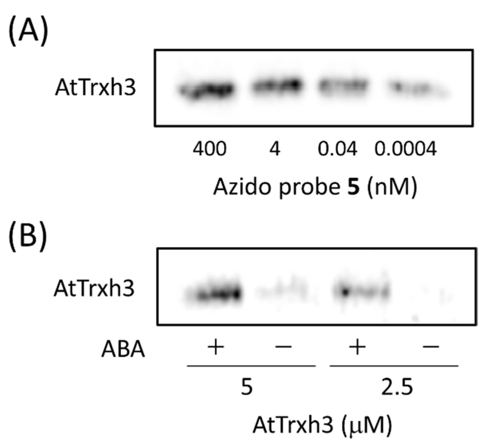 Molecules 27 00161 g005 550