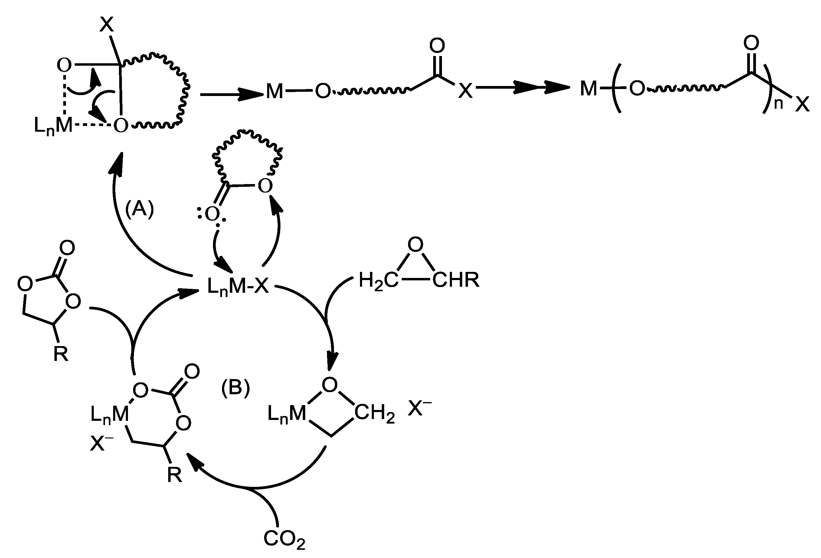 Molecules 27 00164 sch001