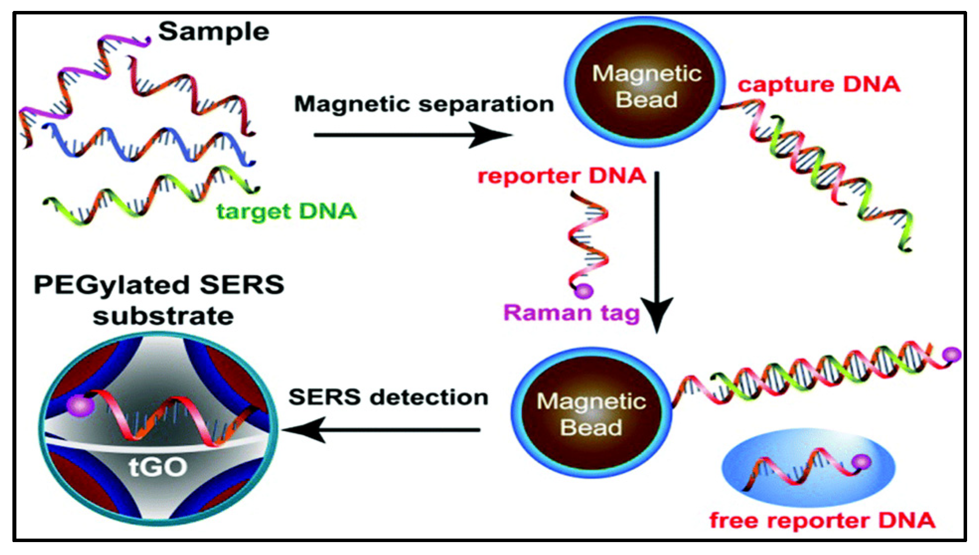 Molecules 27 00165 g009