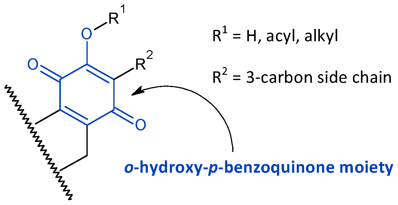 Molecules 27 00166 g002 Molecules 27 00166 g002