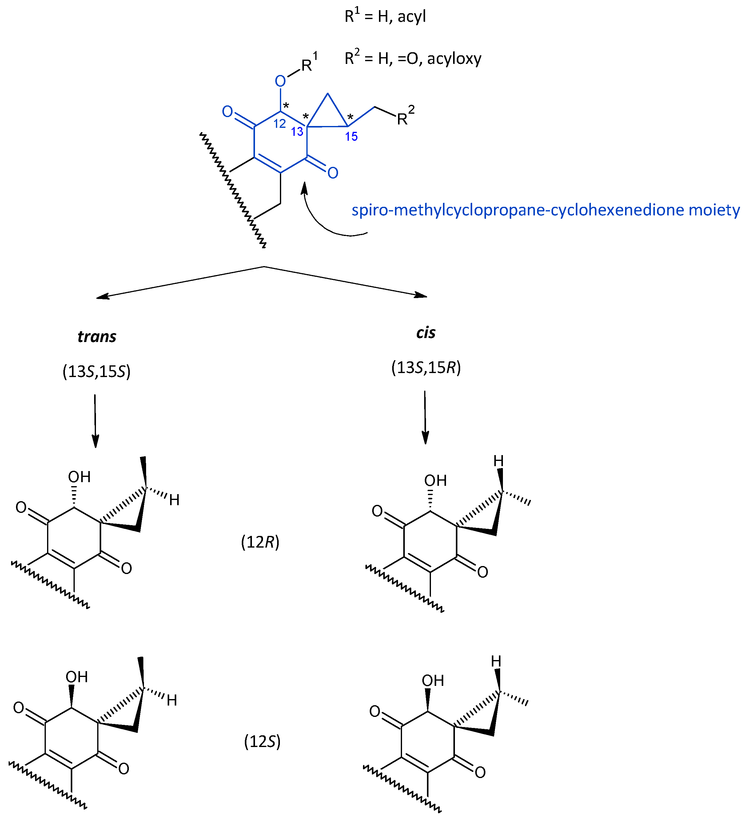 Molecules 27 00166 g003 Molecules 27 00166 g003