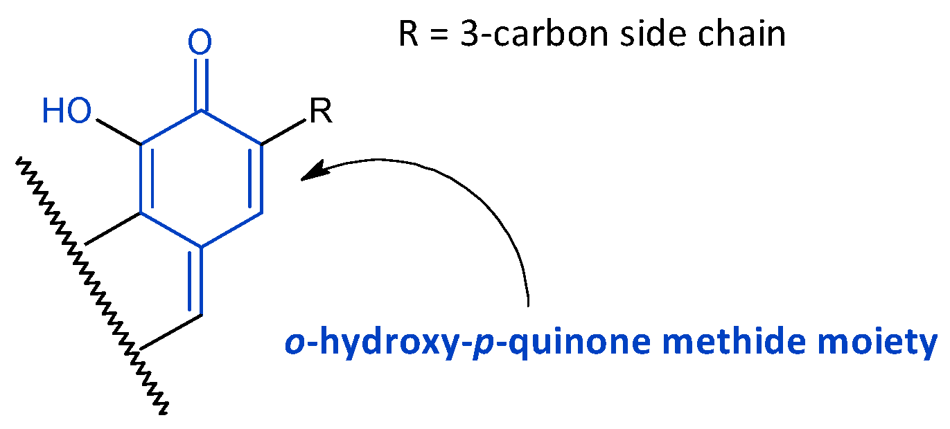 Molecules 27 00166 g004 Molecules 27 00166 g004