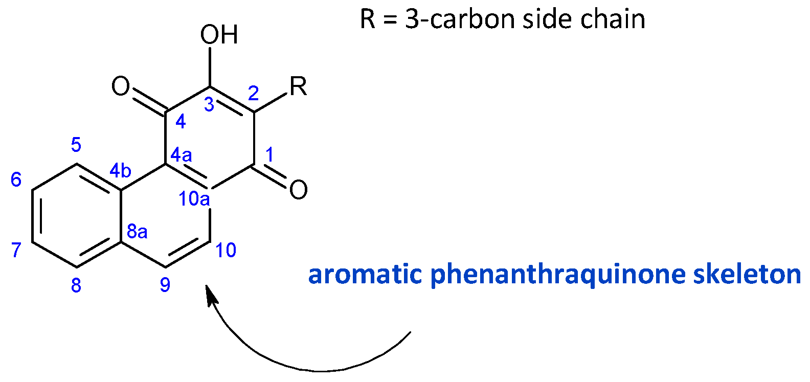 Molecules 27 00166 g006 Molecules 27 00166 g006