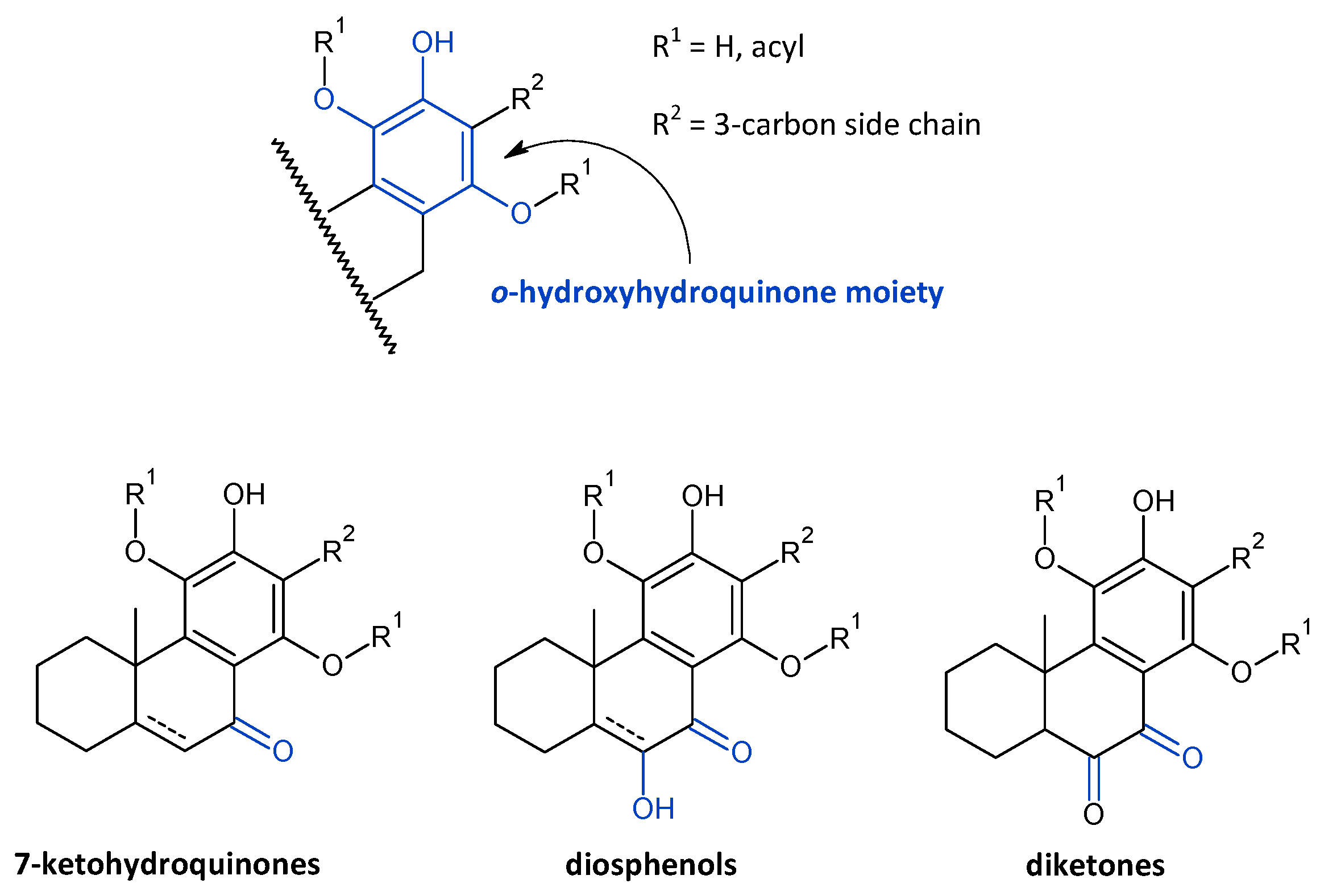 Molecules 27 00166 g007 Molecules 27 00166 g007