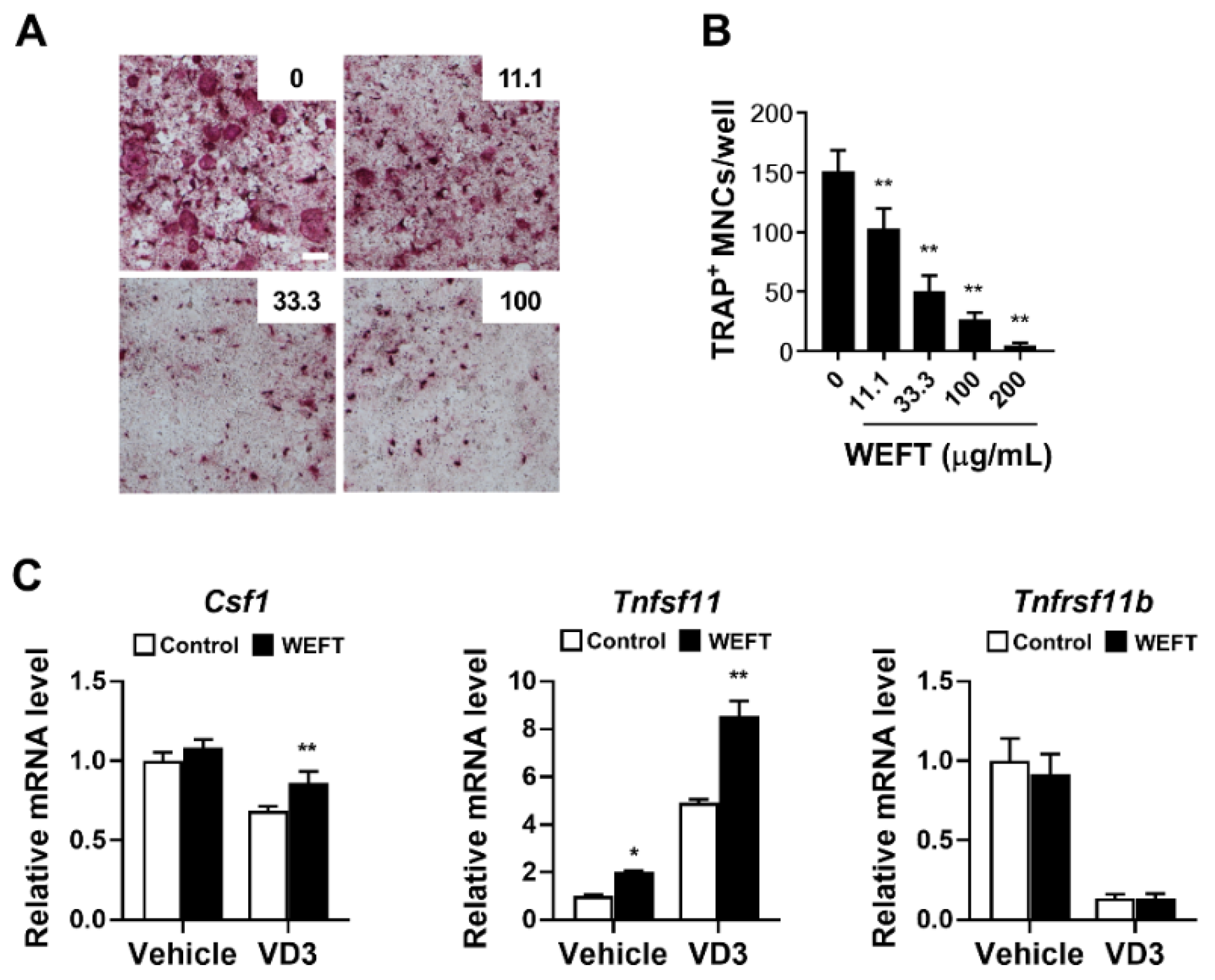 Molecules 27 00169 g001