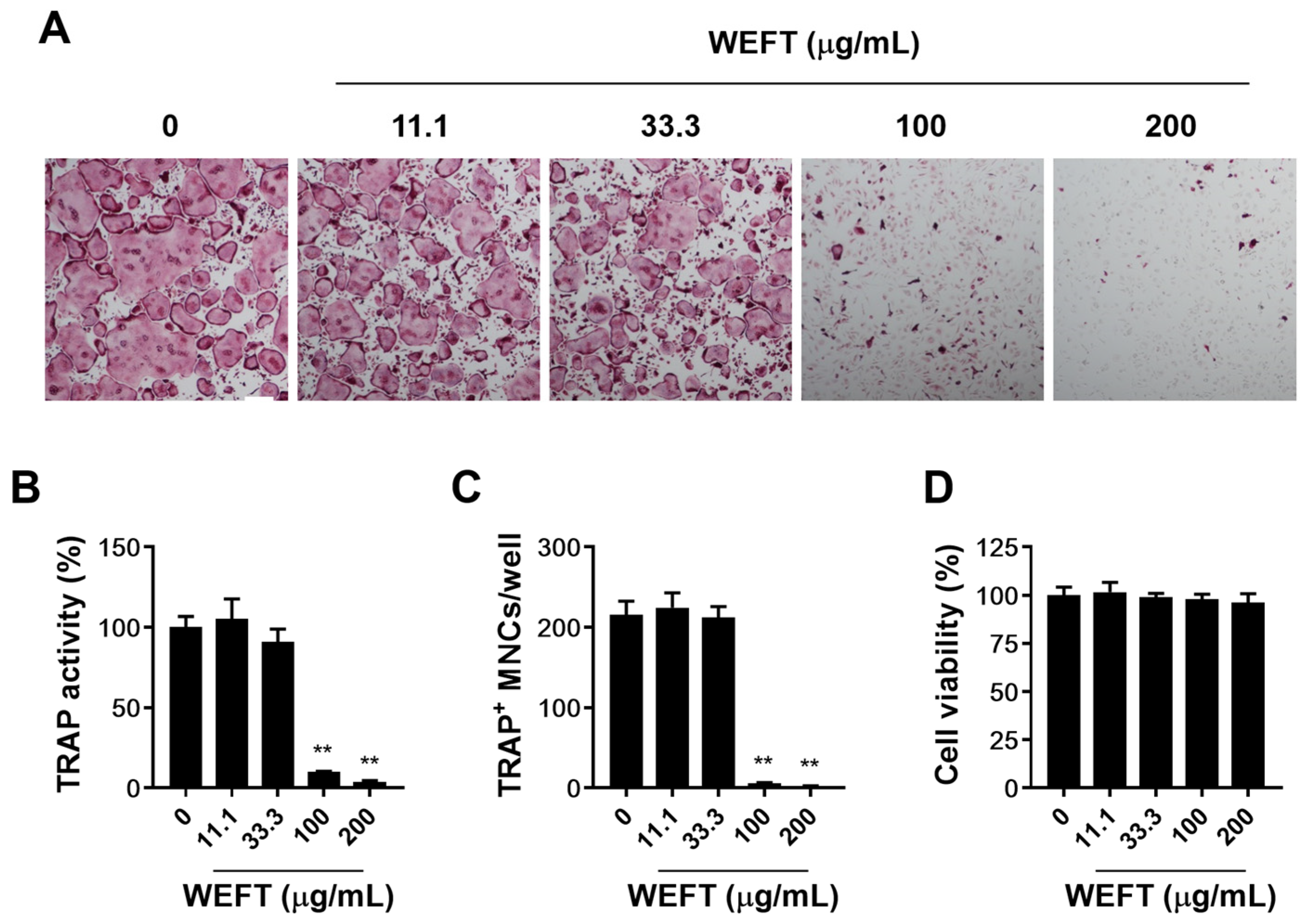 Molecules 27 00169 g002