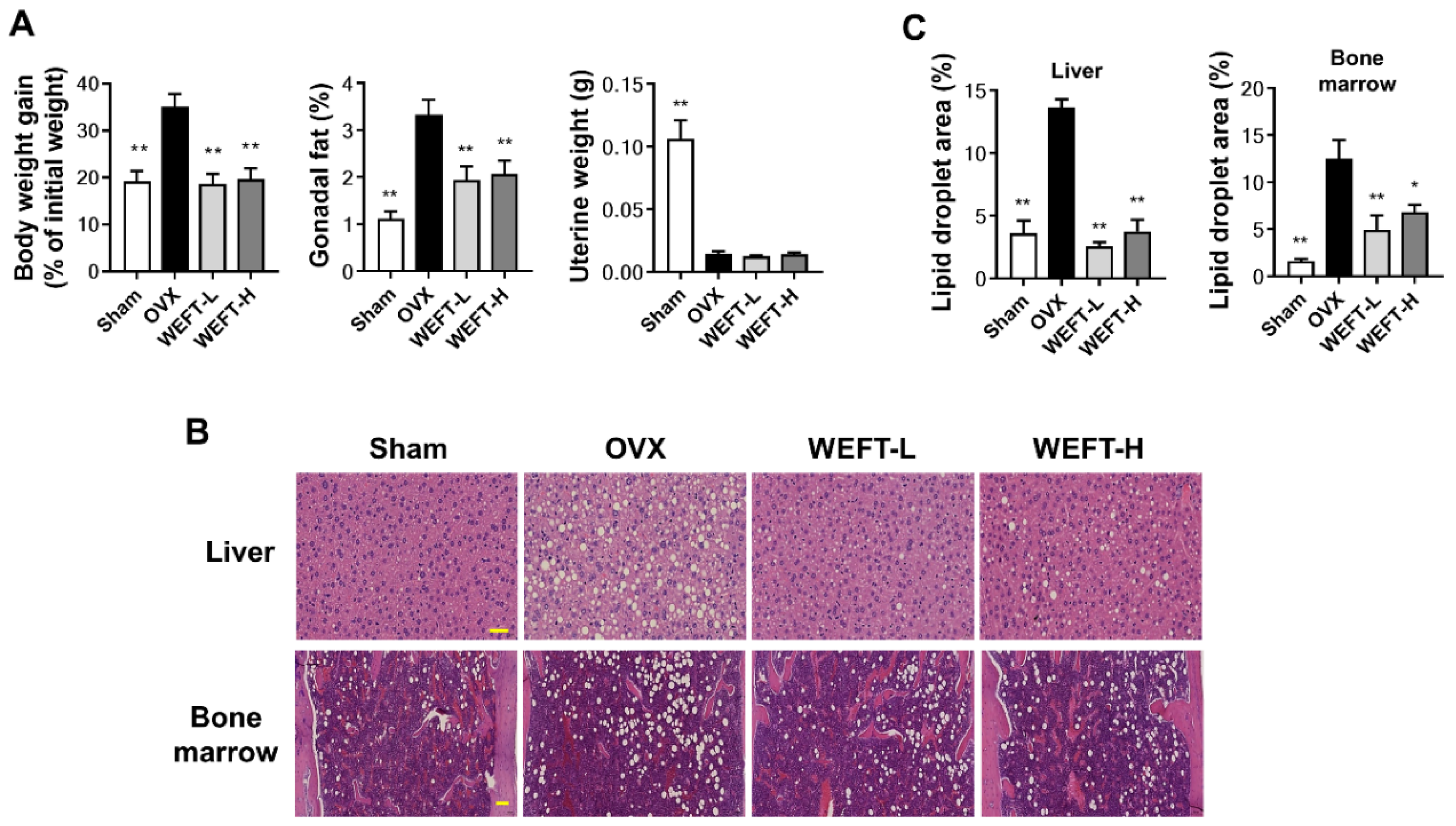 Molecules 27 00169 g005