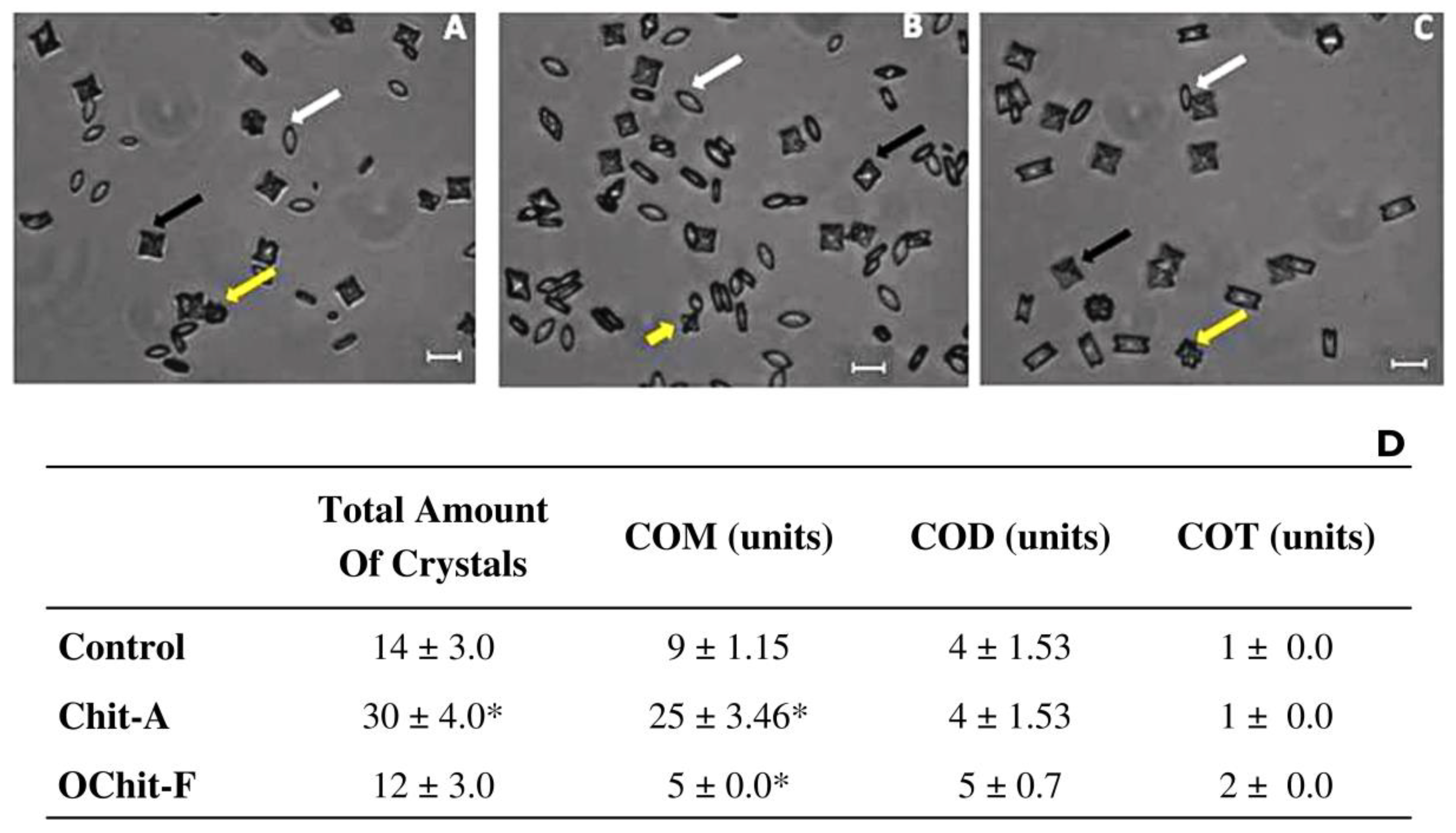 Molecules 27 00171 g004 Molecules 27 00171 g004