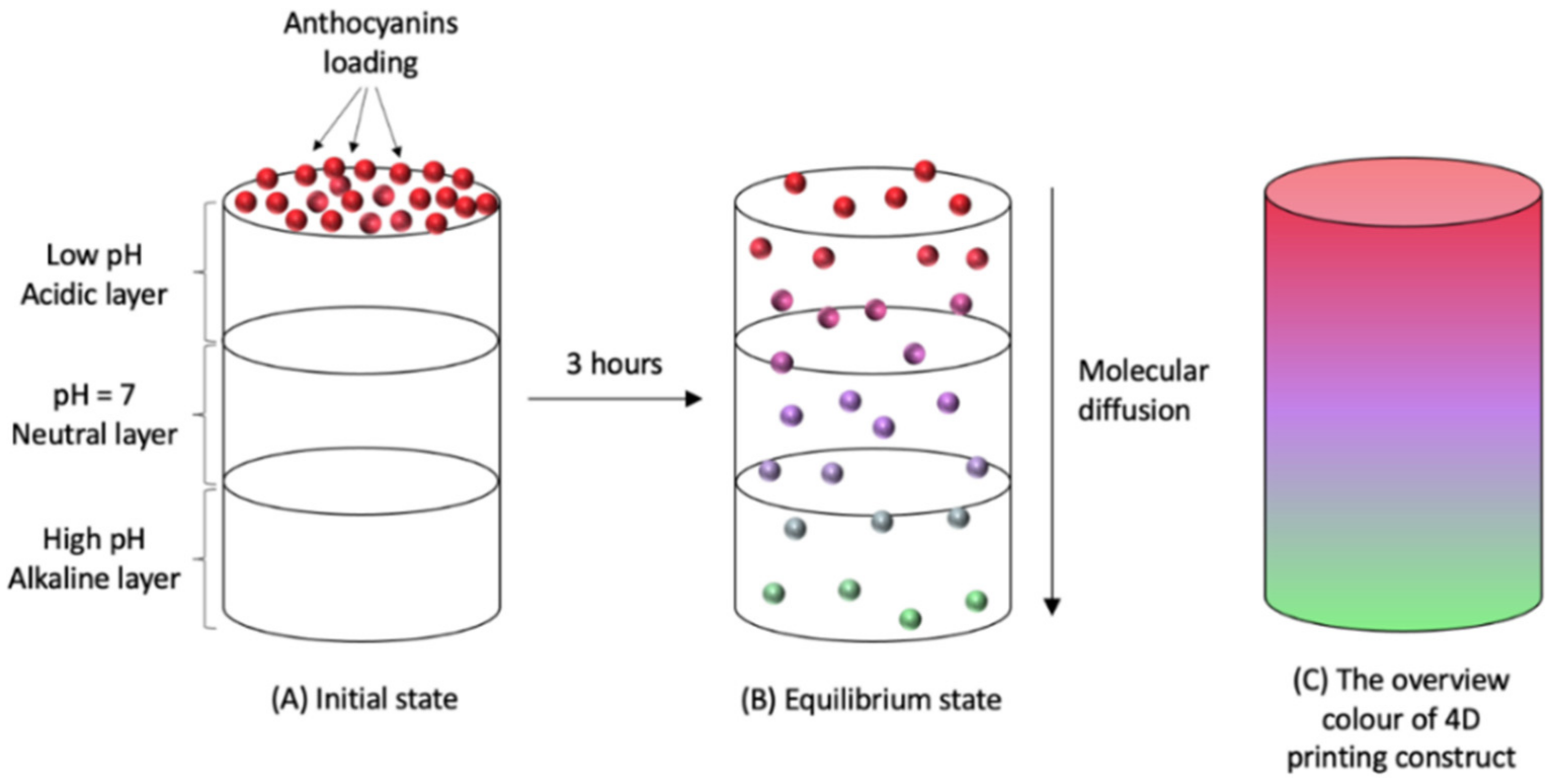 Molecules 27 00173 g004 550