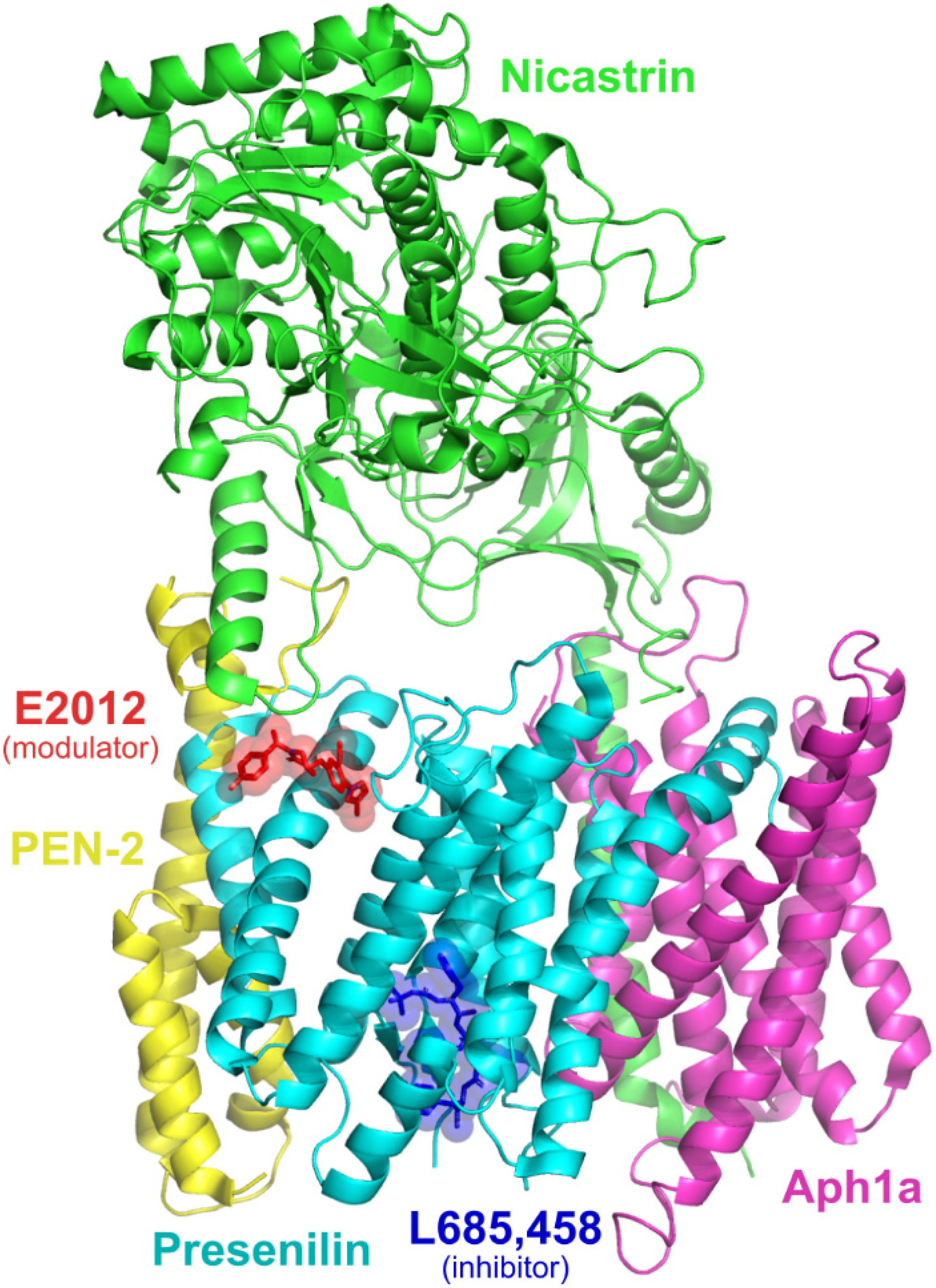 Molecules 27 00176 g001