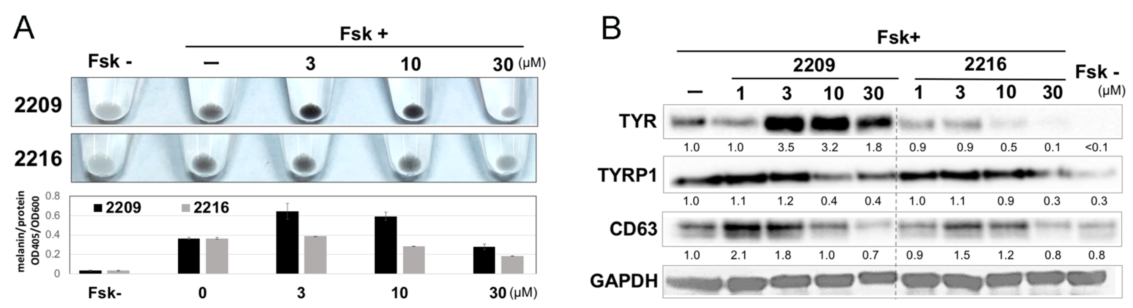 Molecules 27 00177 g002