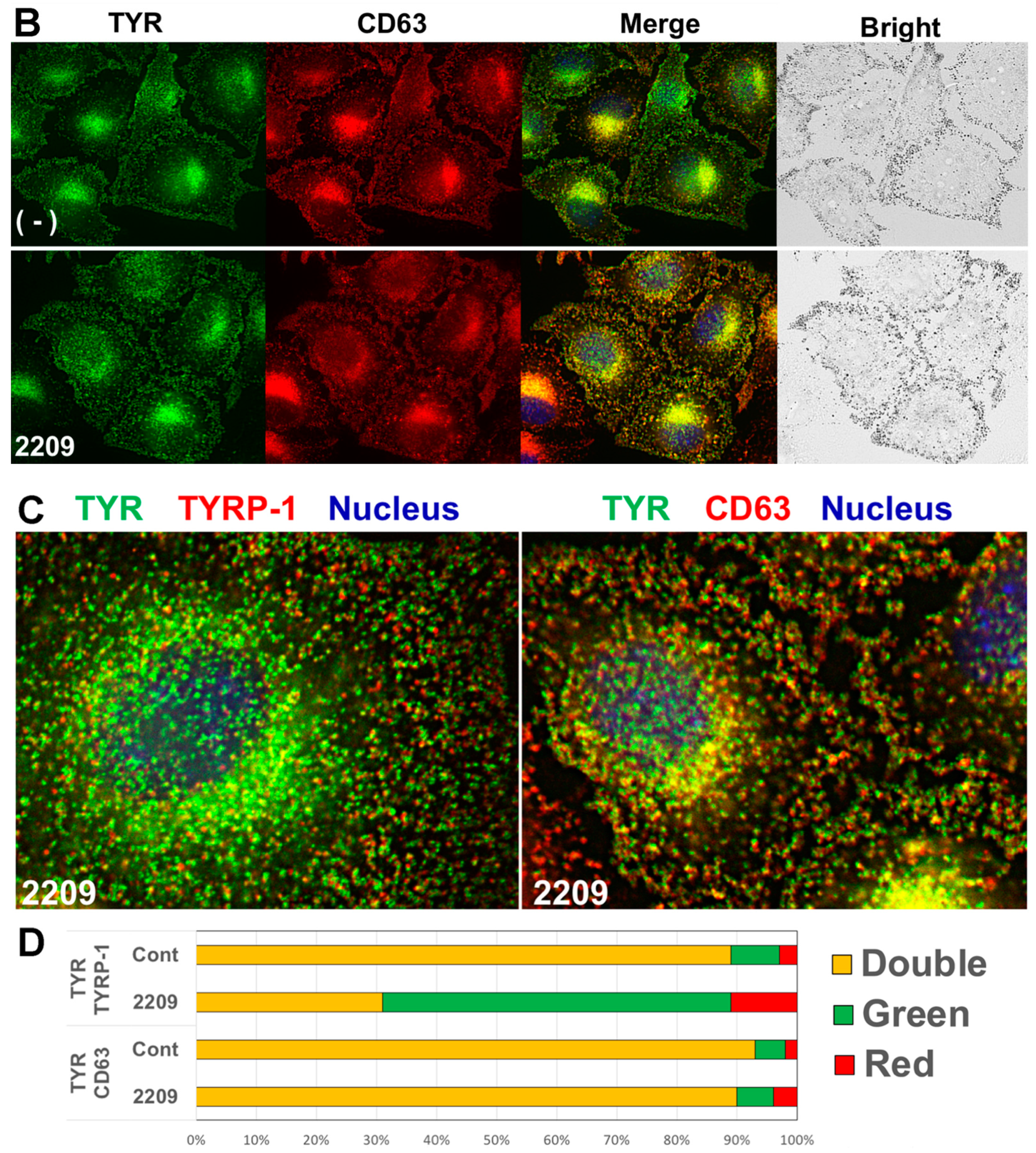 Molecules 27 00177 g004b