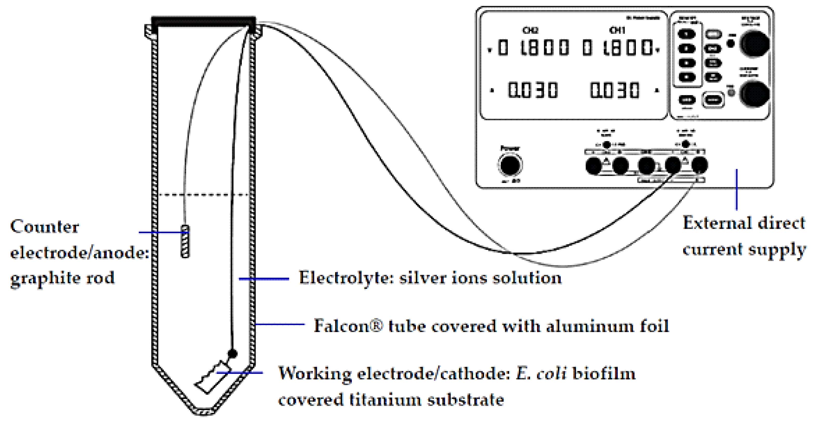 Molecules 27 00180 g001