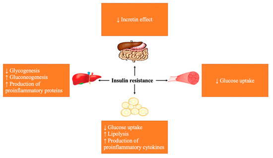 In Vitro and In Vivo Antidiabetic Potential of