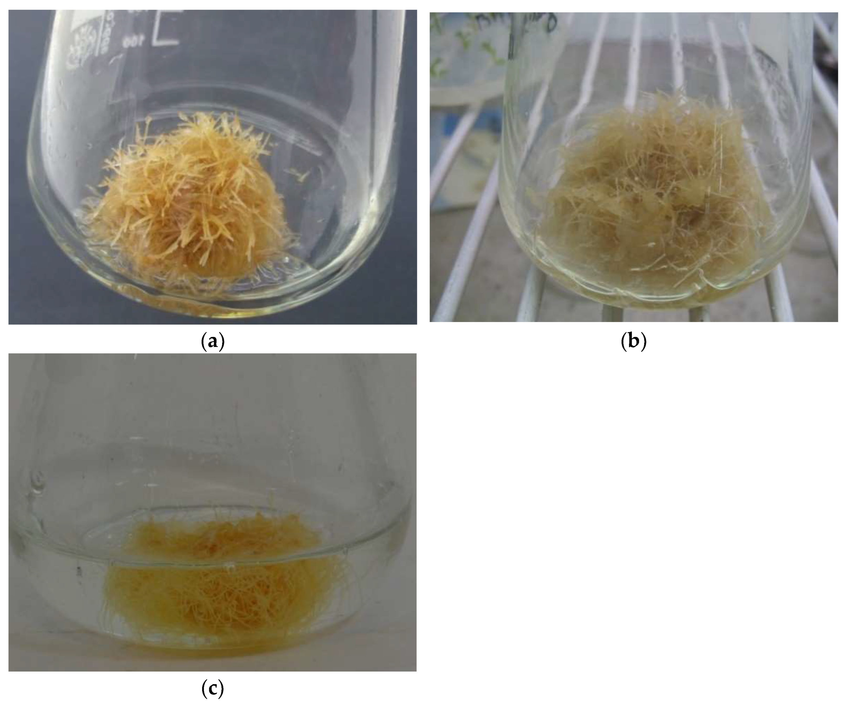 Molecules 27 00186 g002 550
