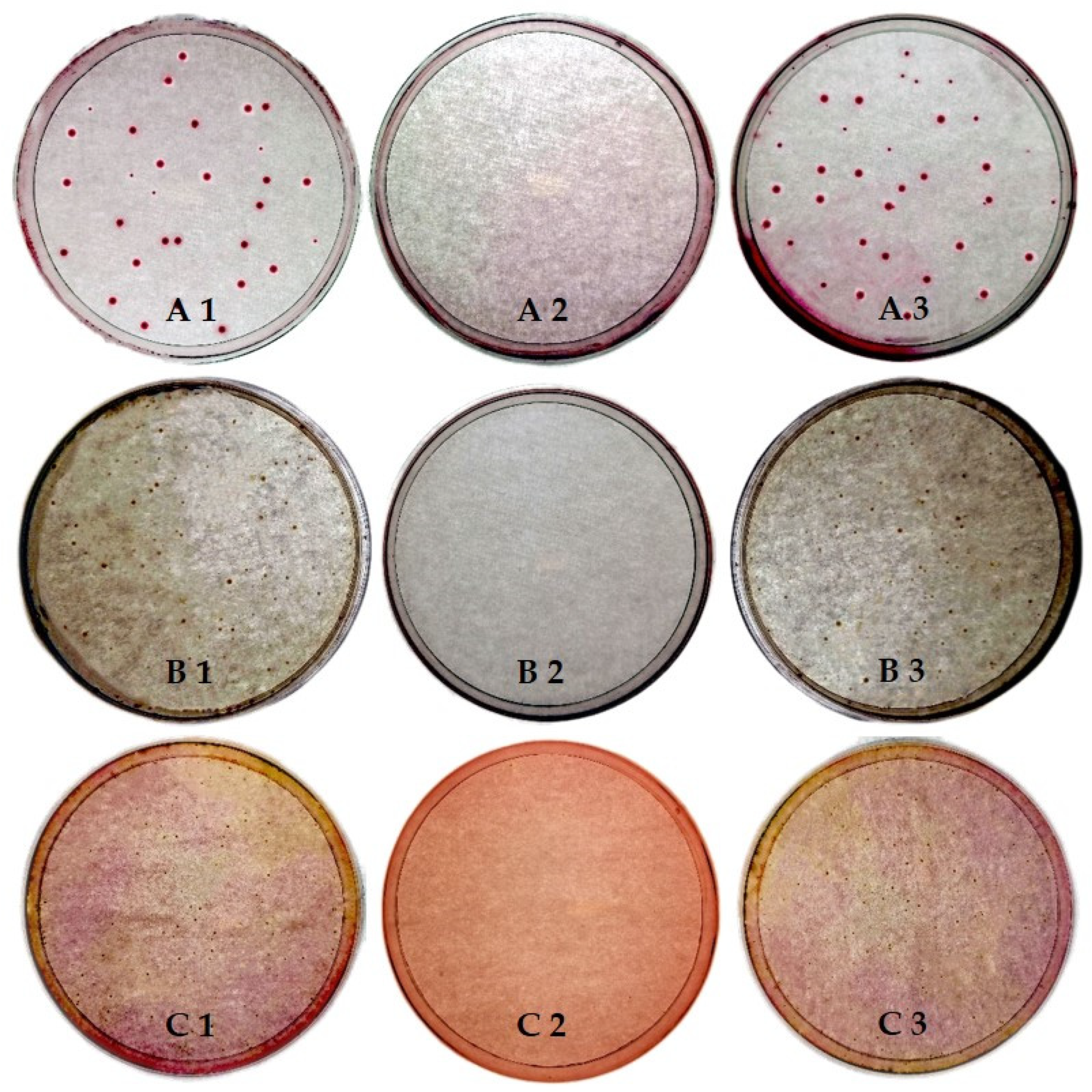 Molecules 27 00195 g002