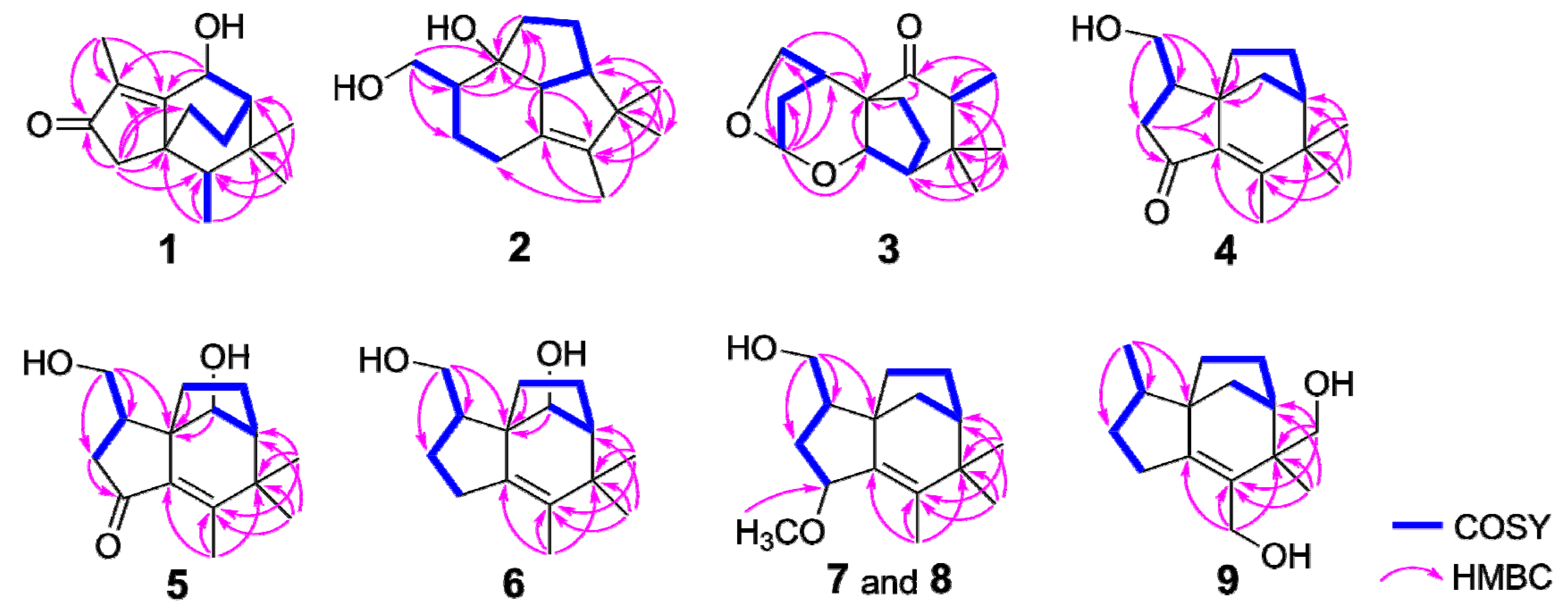 Molecules 27 00198 g002 550