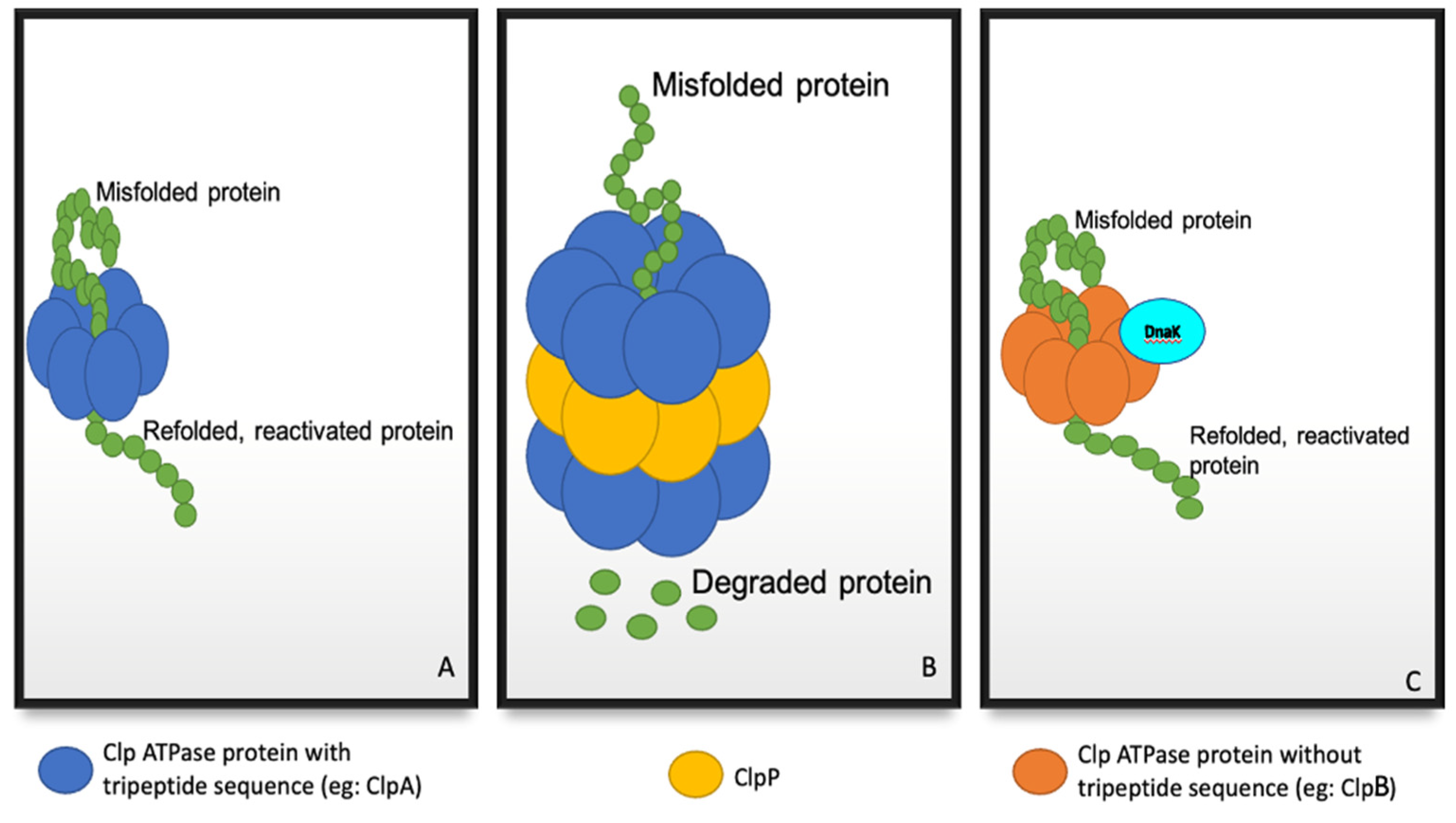 Molecules 27 00200 g001 Molecules 27 00200 g001